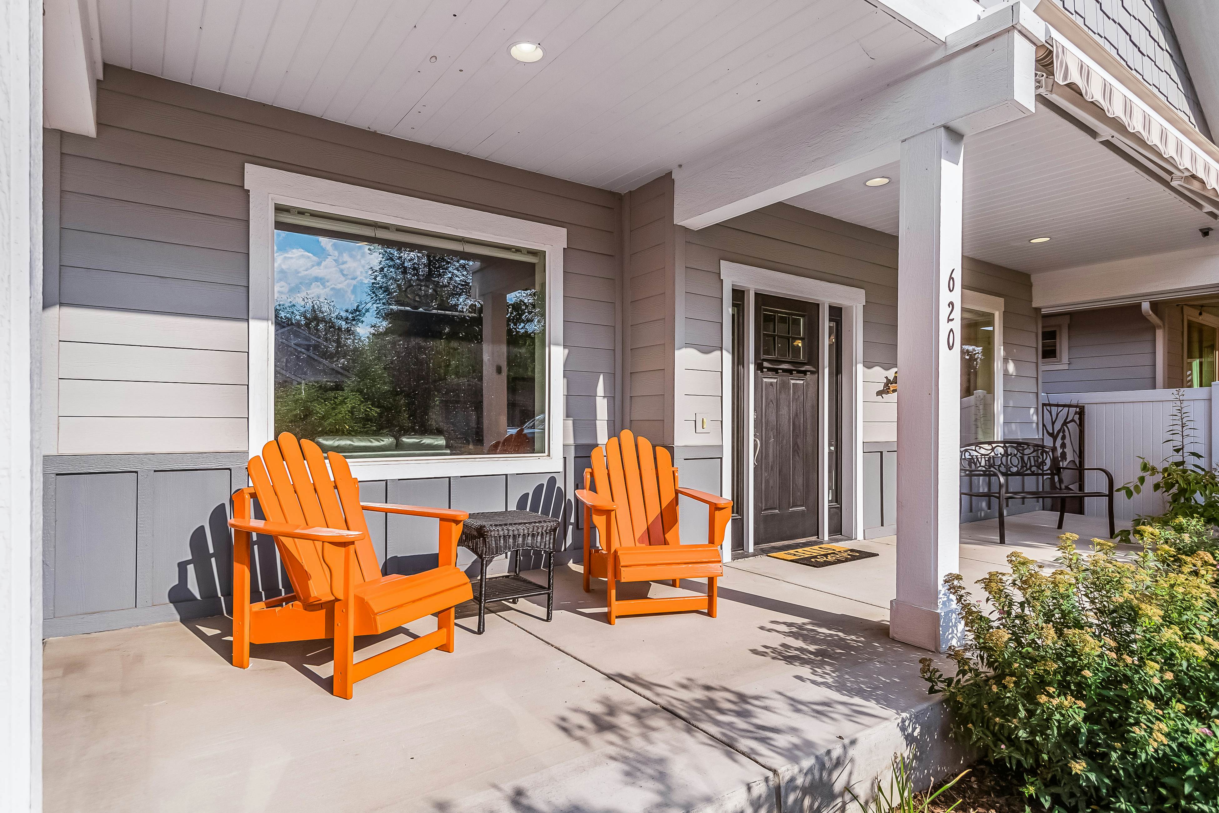 Dog Friendly AC Fireplace