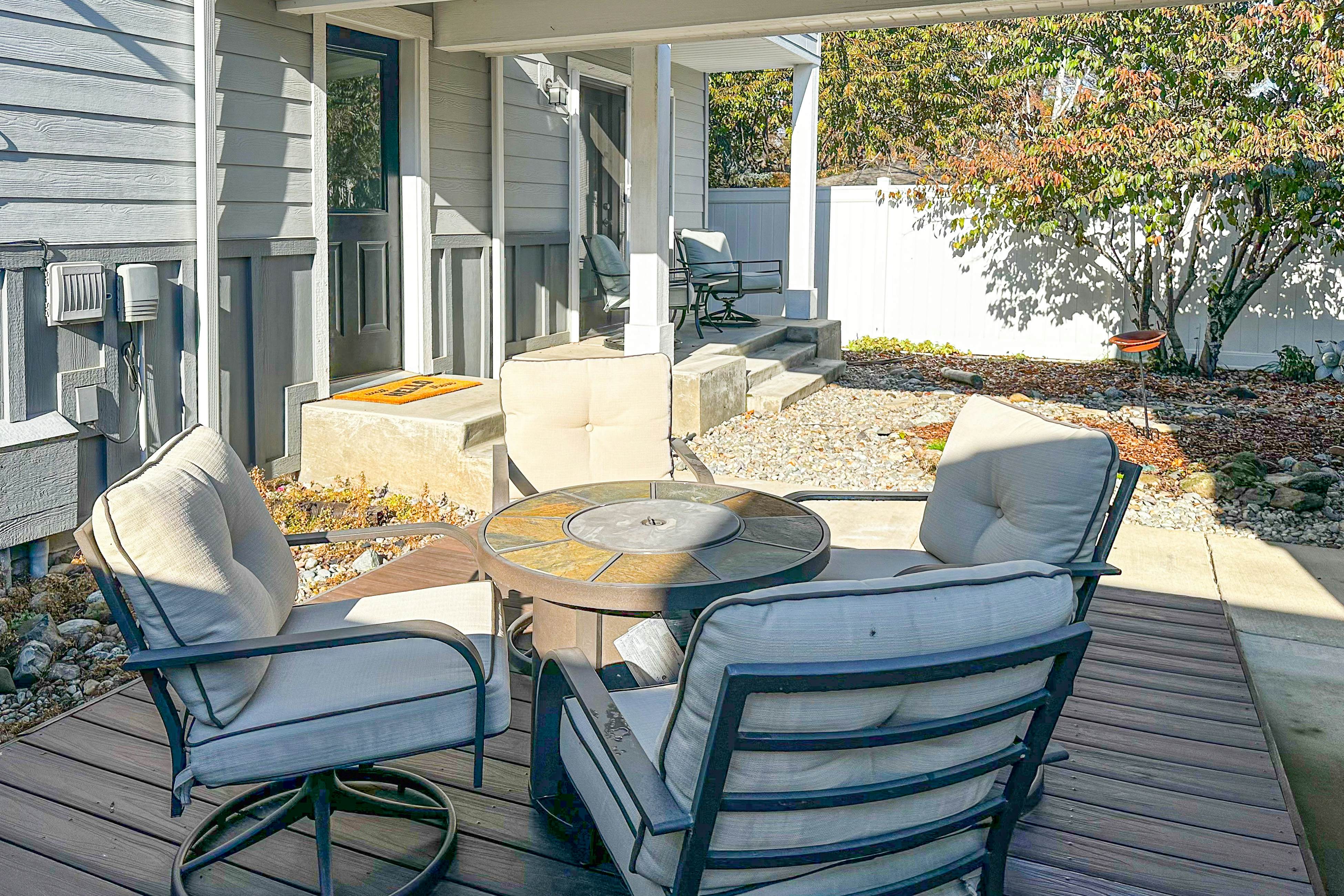 Dog Friendly AC Fireplace