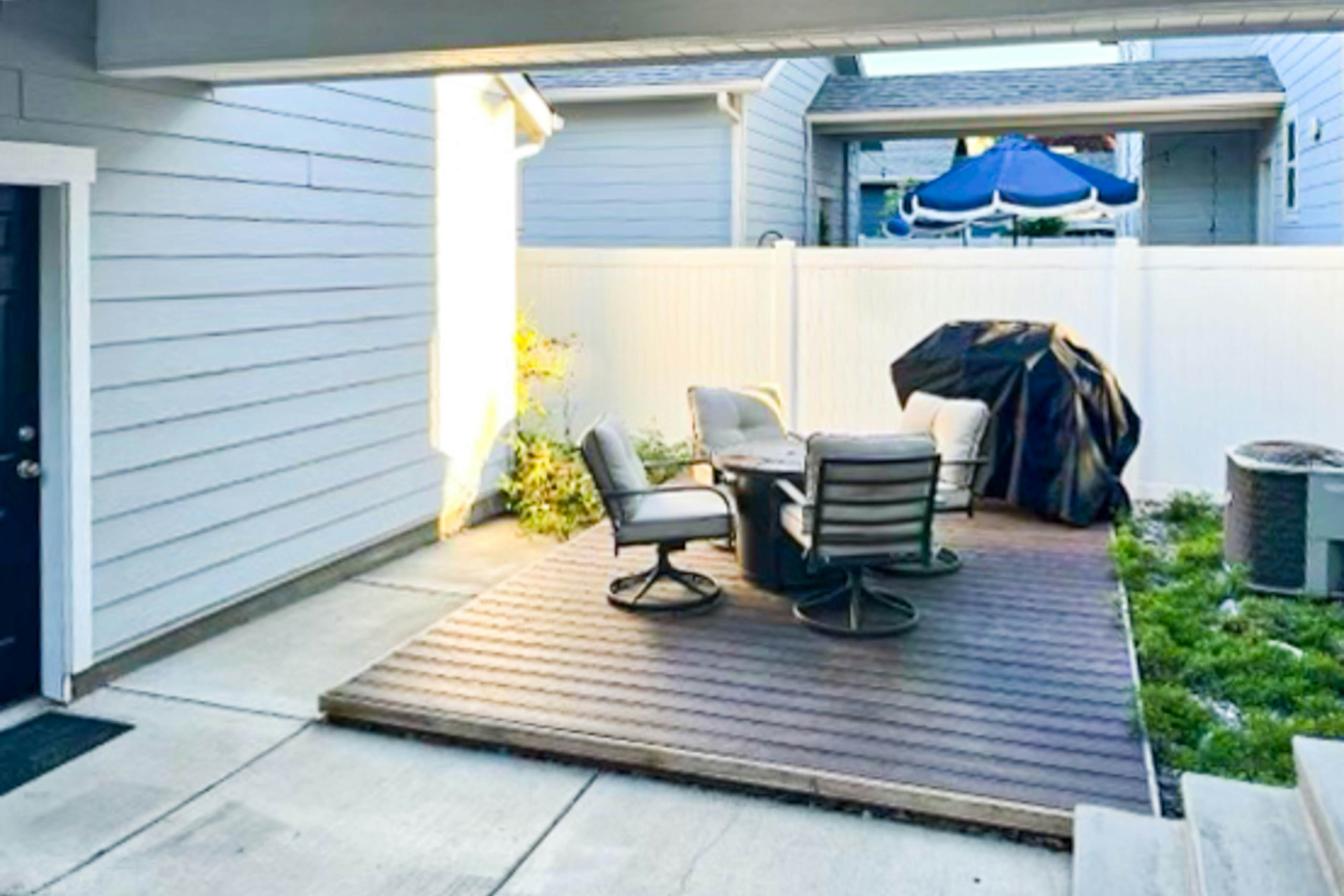 Dog Friendly AC Fireplace