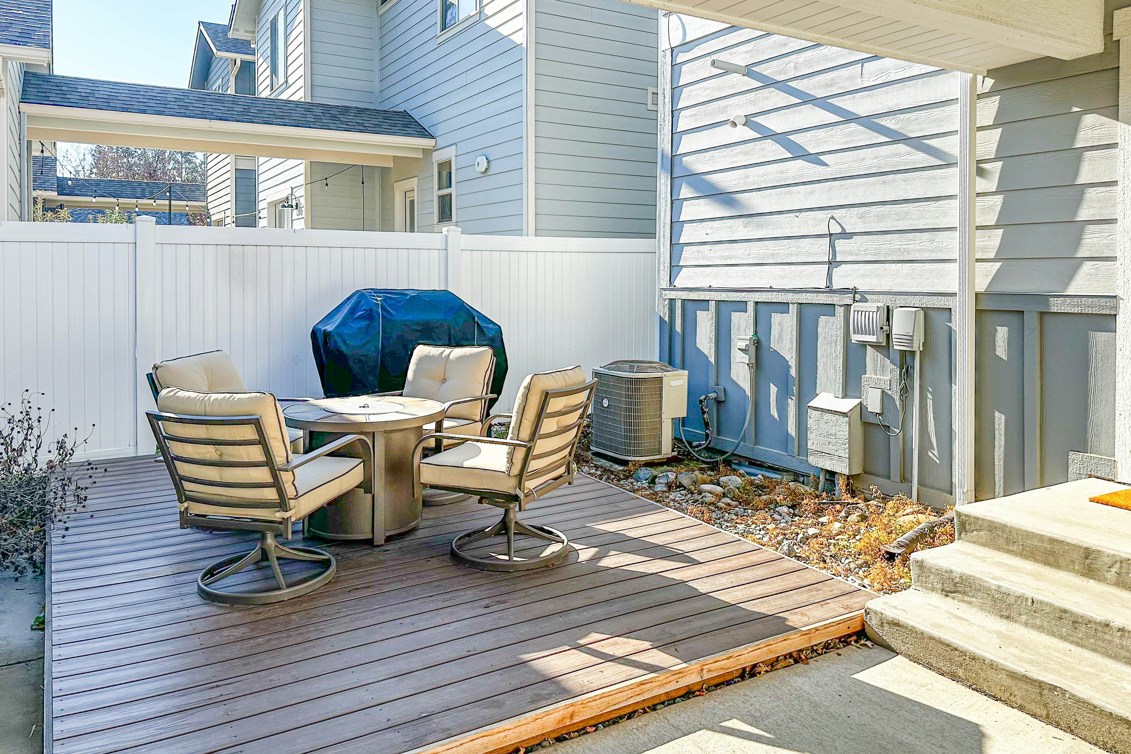 Dog Friendly AC Fireplace