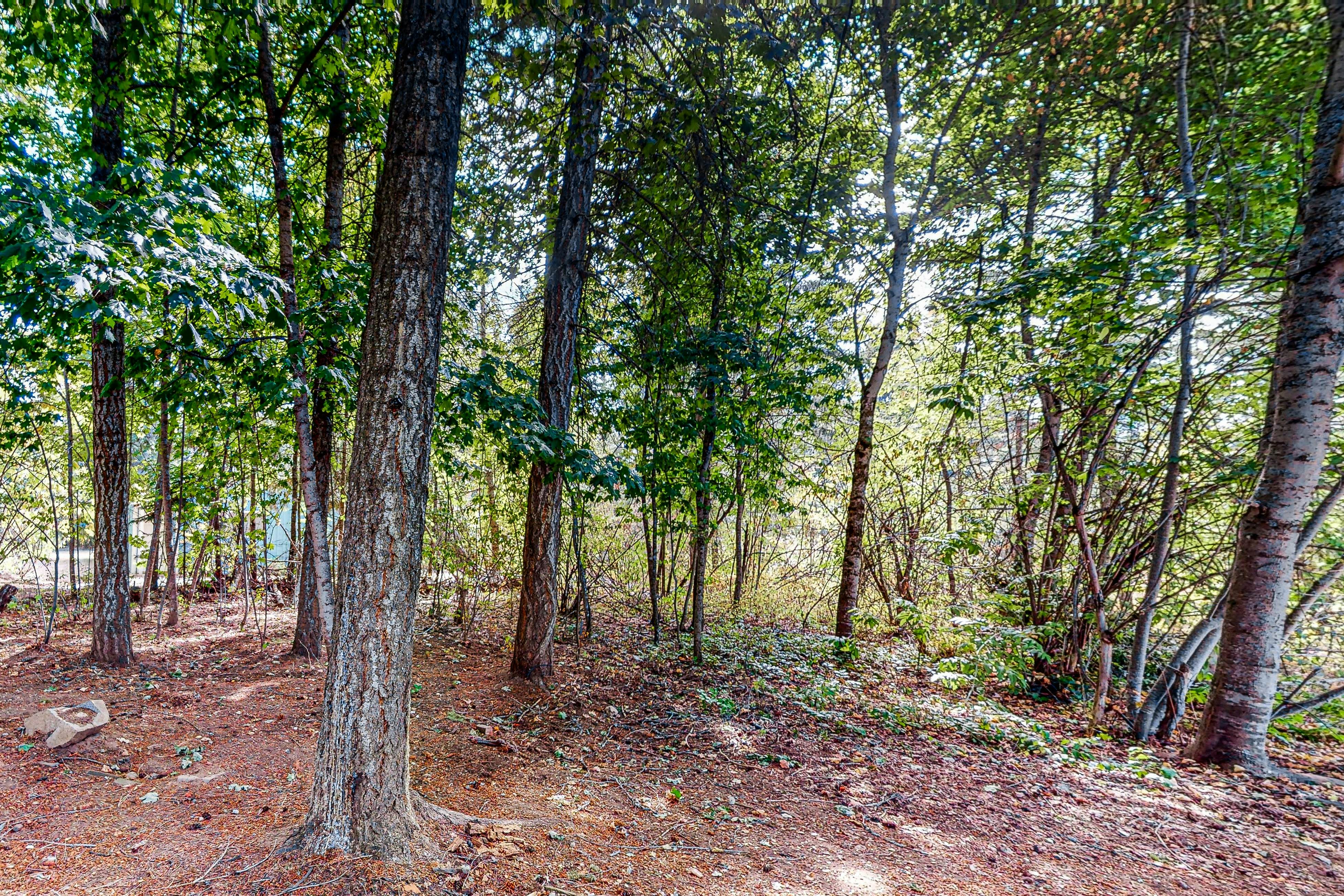 Spirit Lake Waterfront Cabin