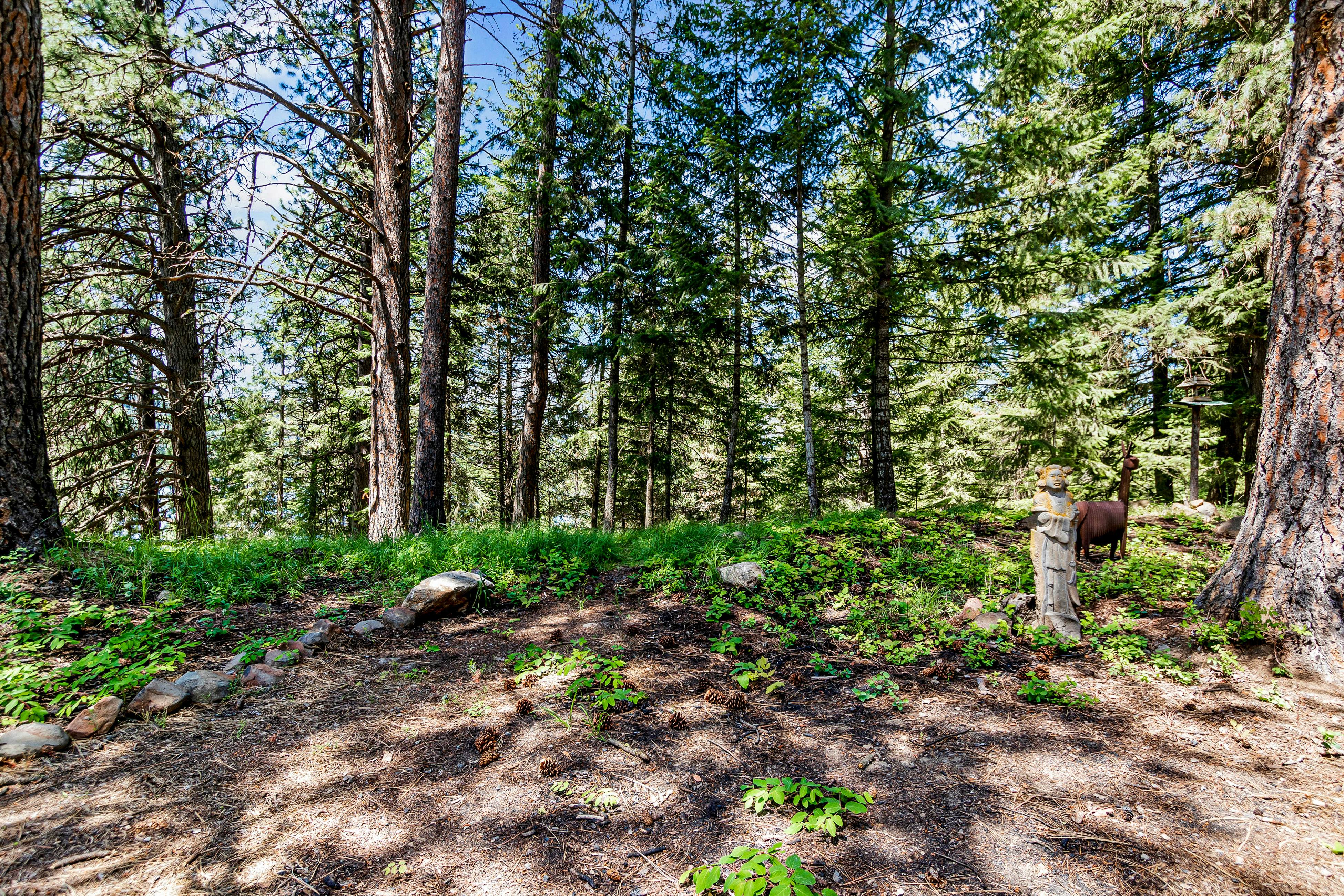 Forest Home Lake Outlook