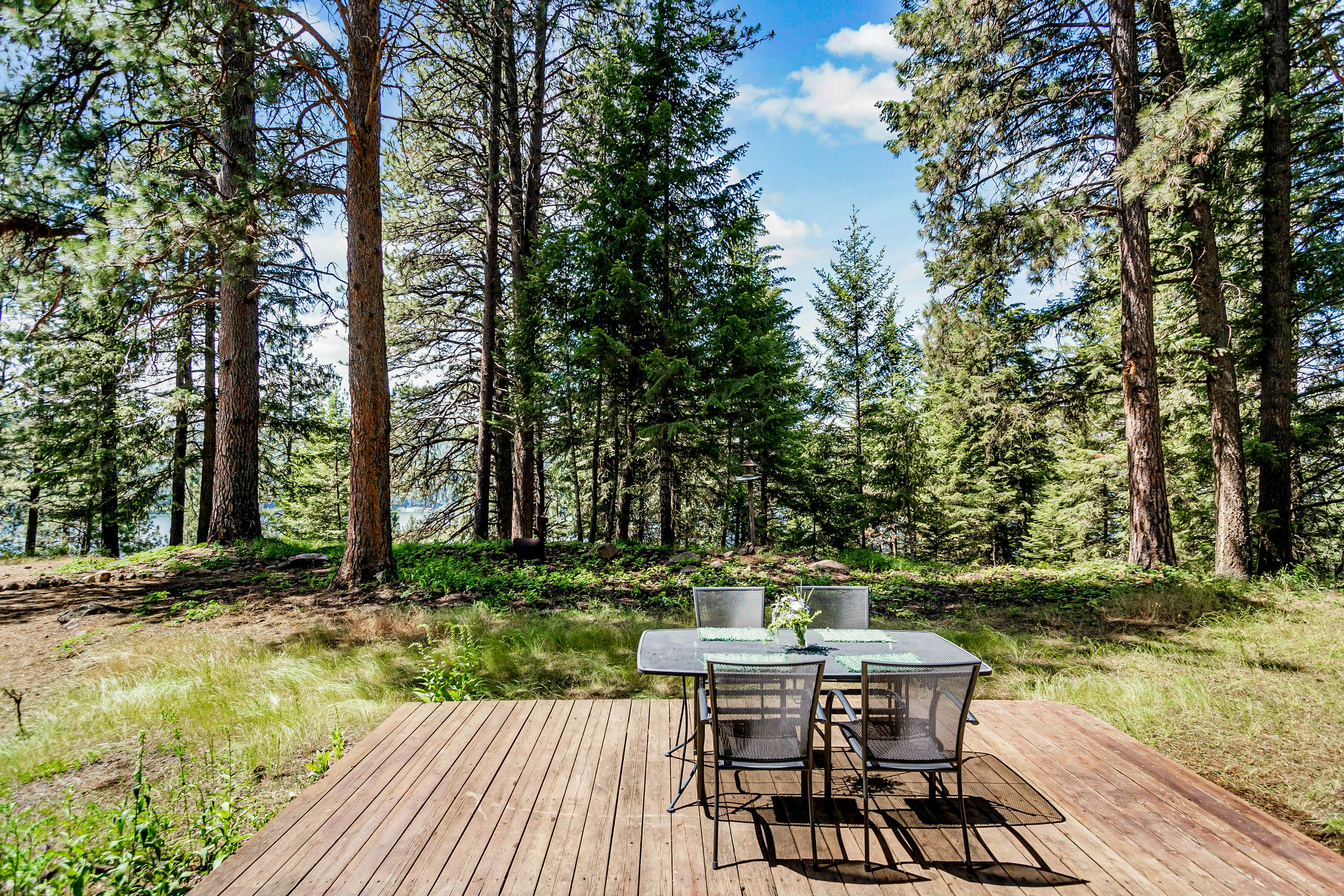 Forest Home Lake Outlook