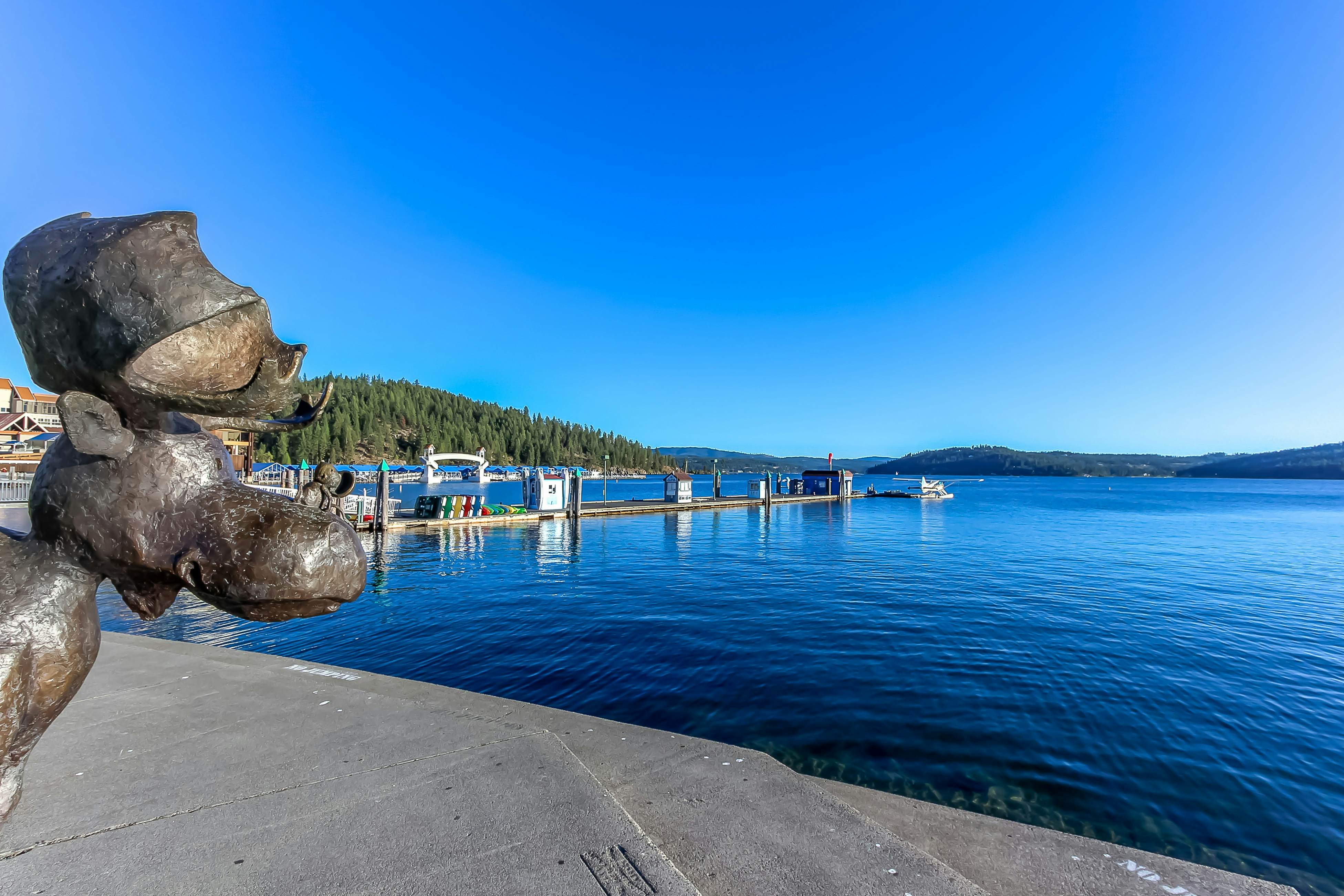 Lakefront Condo Mountain