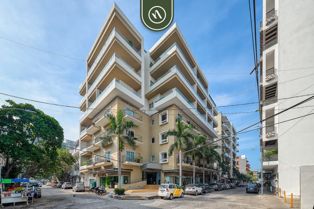 Zenith 501 Casa Artista