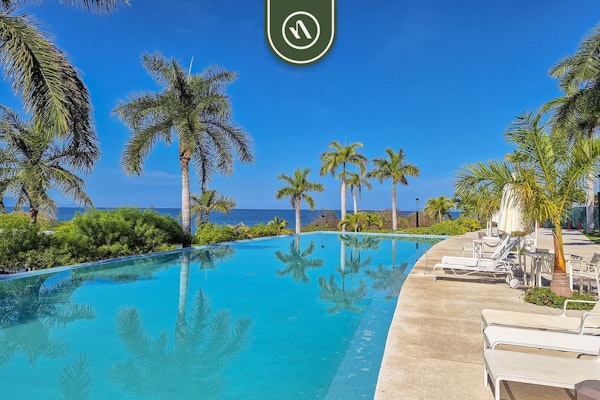 Stunning Condo - Oceanview Terrace - Private Beach