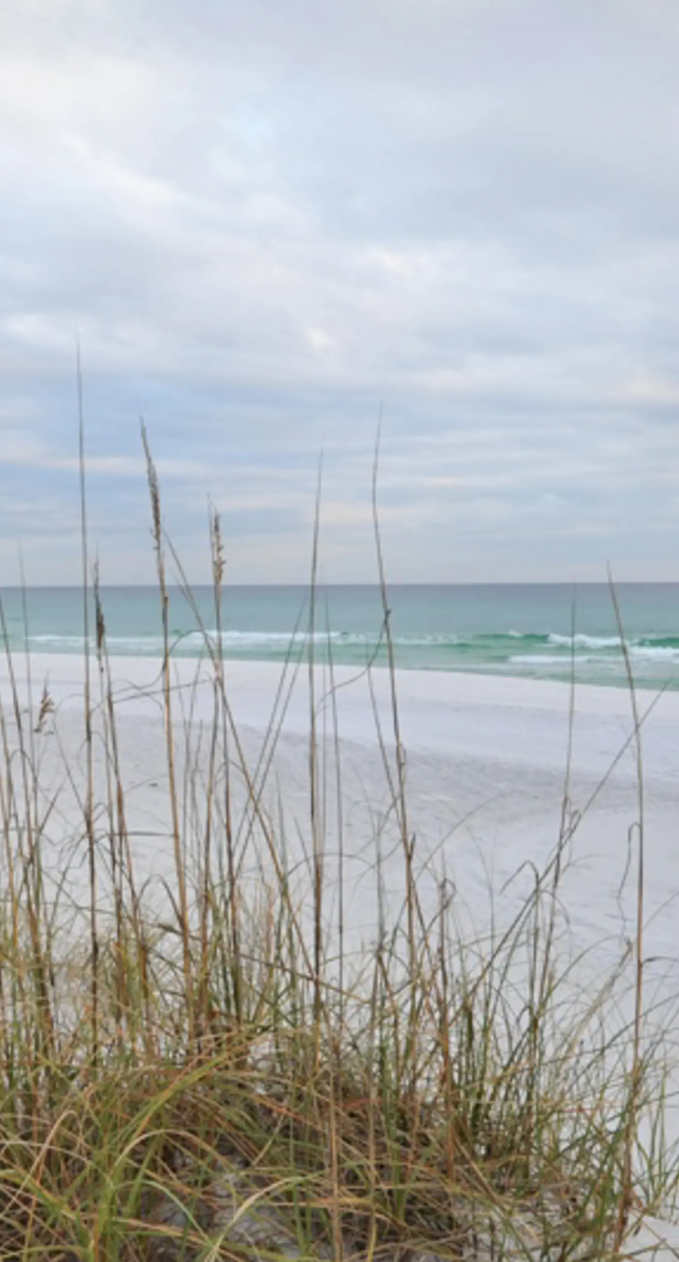 Gulf-Front Condo with Pool and Hot Tub
