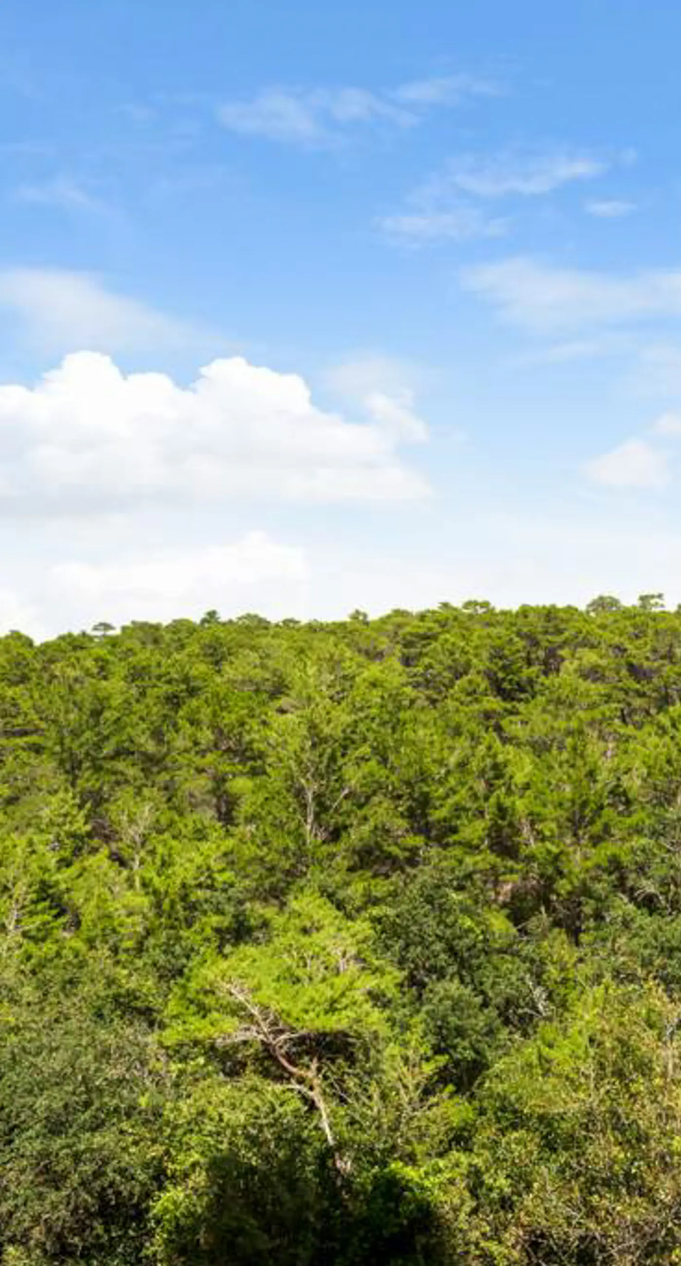 Gulf-Front Condo with Pools Hot Tub and Tennis