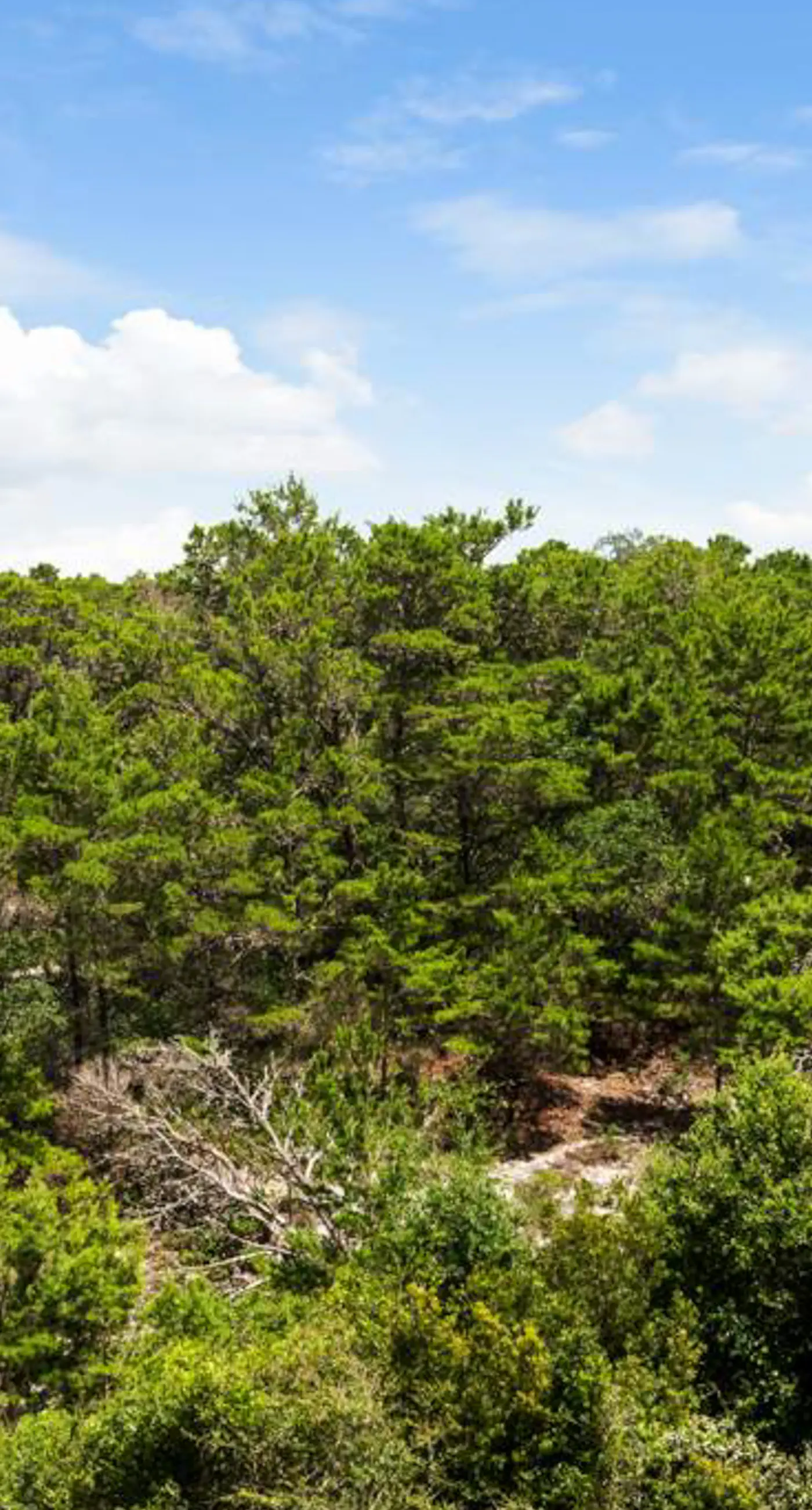 Gulf-Front Condo with Pools Hot Tub and Tennis