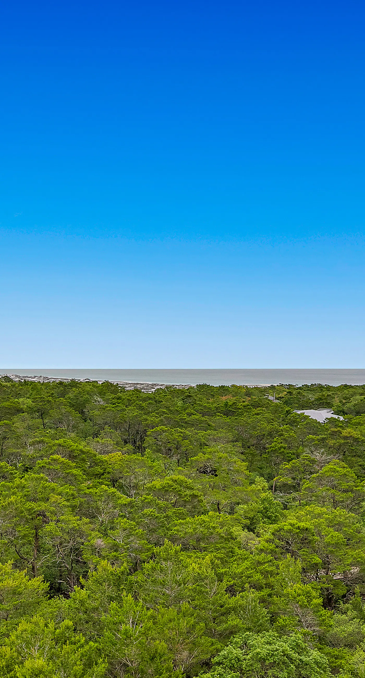 Scenic Resort Condo with Pools Hot Tub and Gym