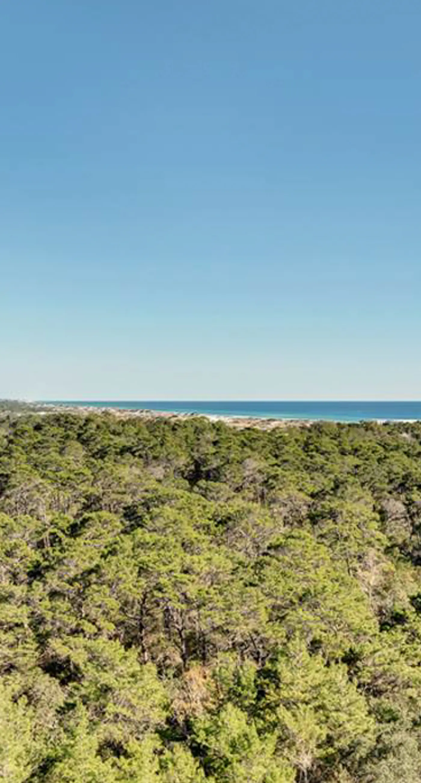 Scenic Resort Condo with Pools Hot Tub and Gym