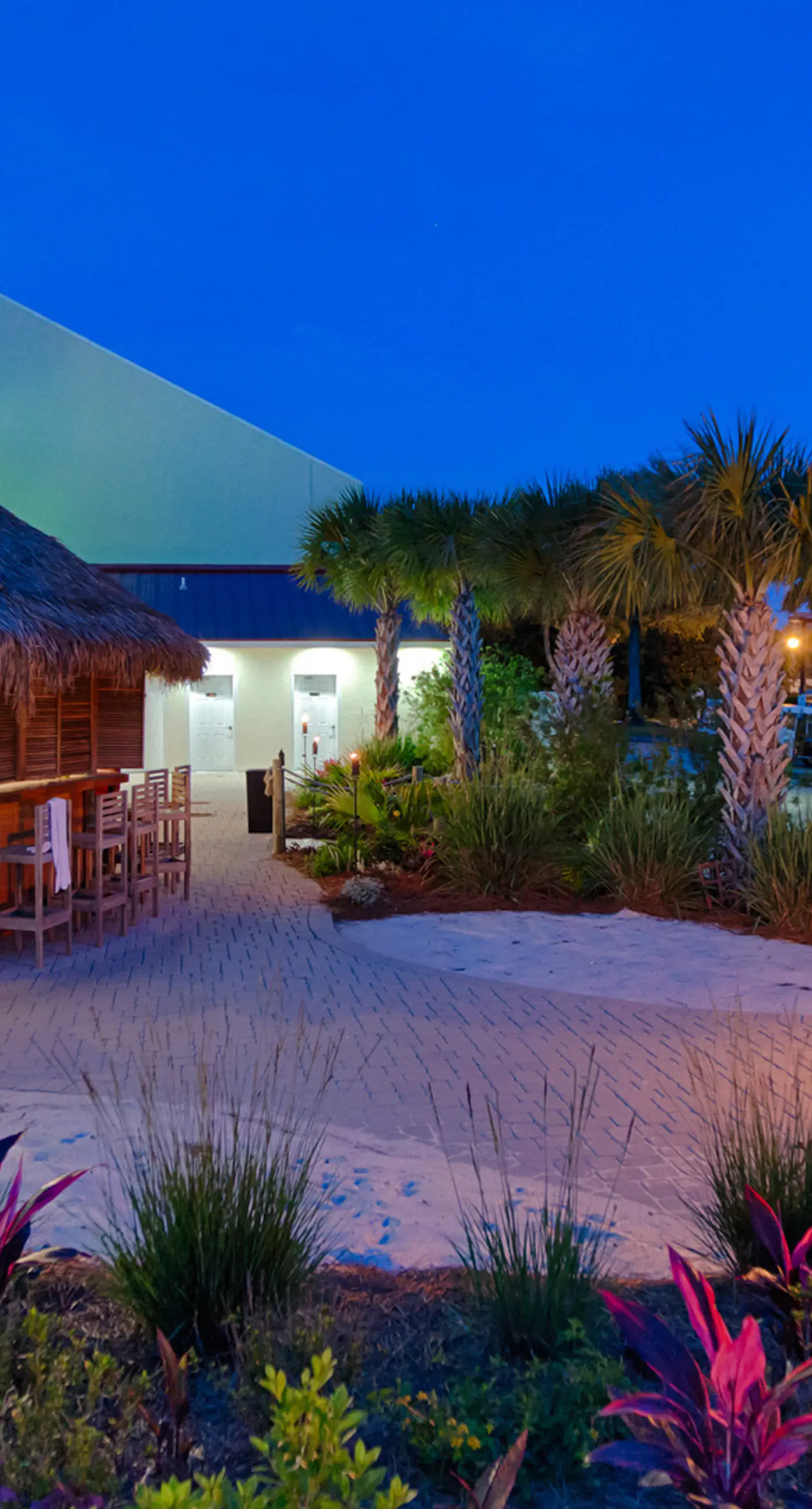 Beachfront condo with Gulf views & pool access