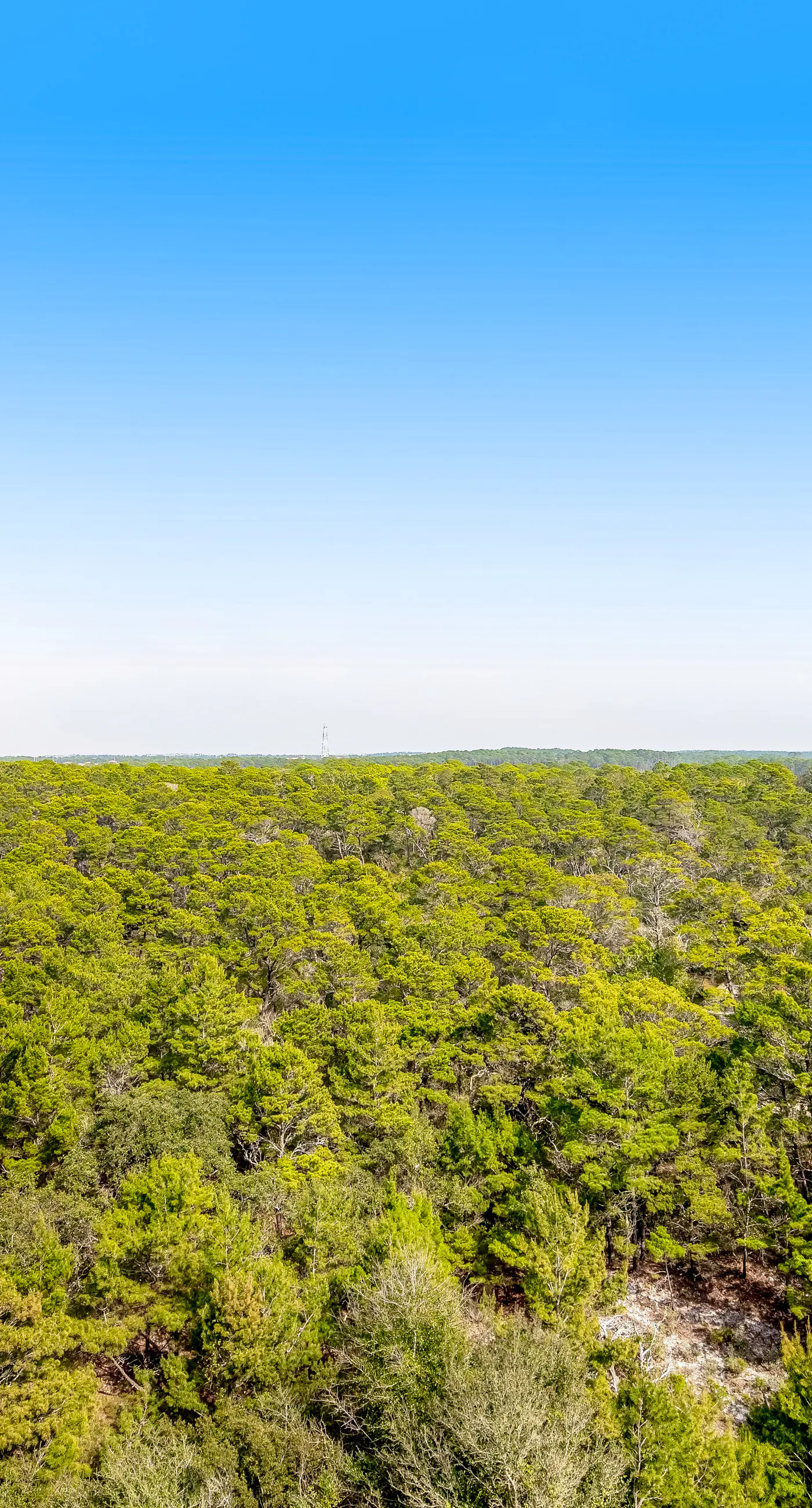 Gulf View Studio with Balcony Pools and Tennis