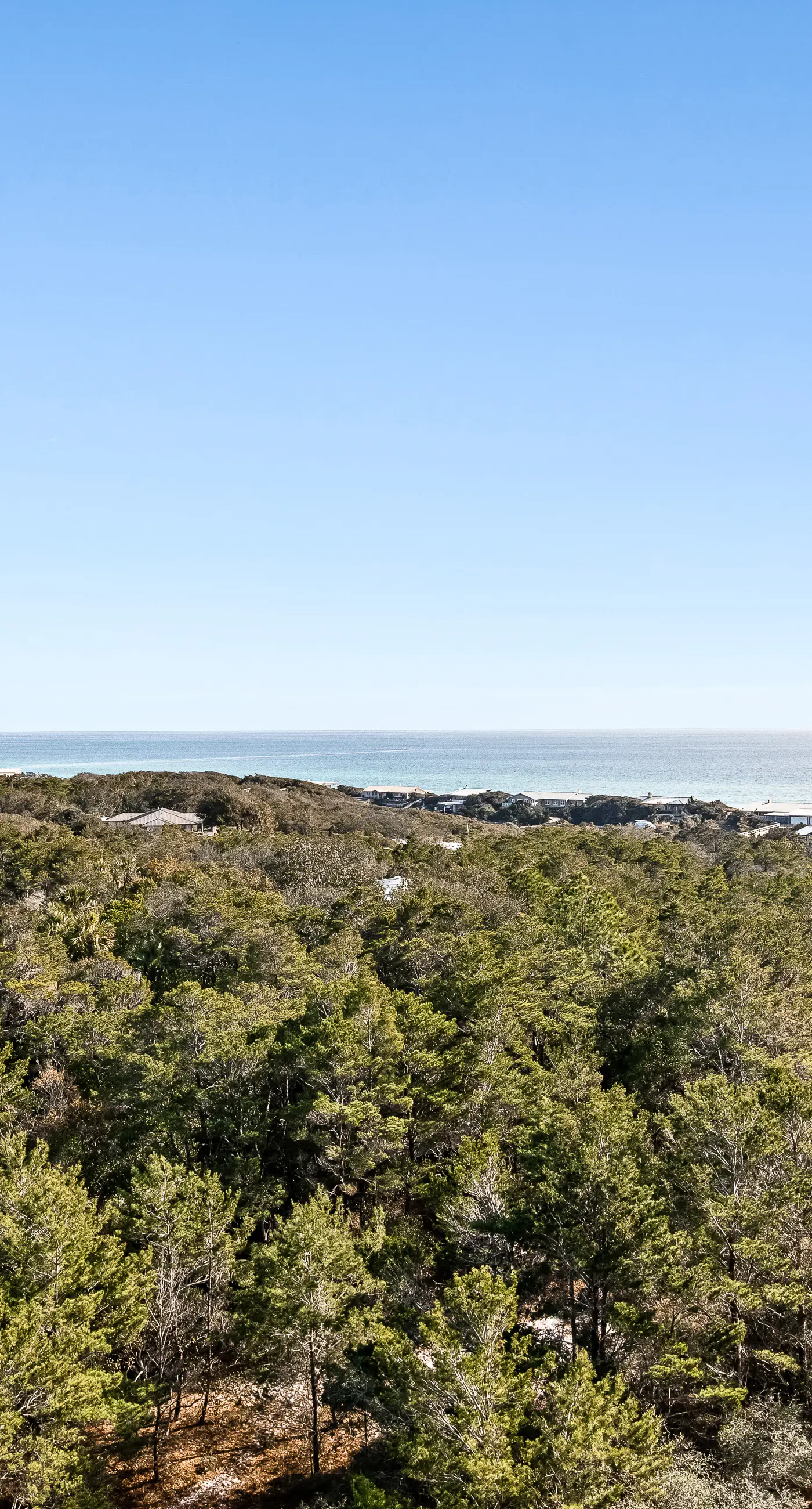 Ocean View Studio with Pool and Hot Tub