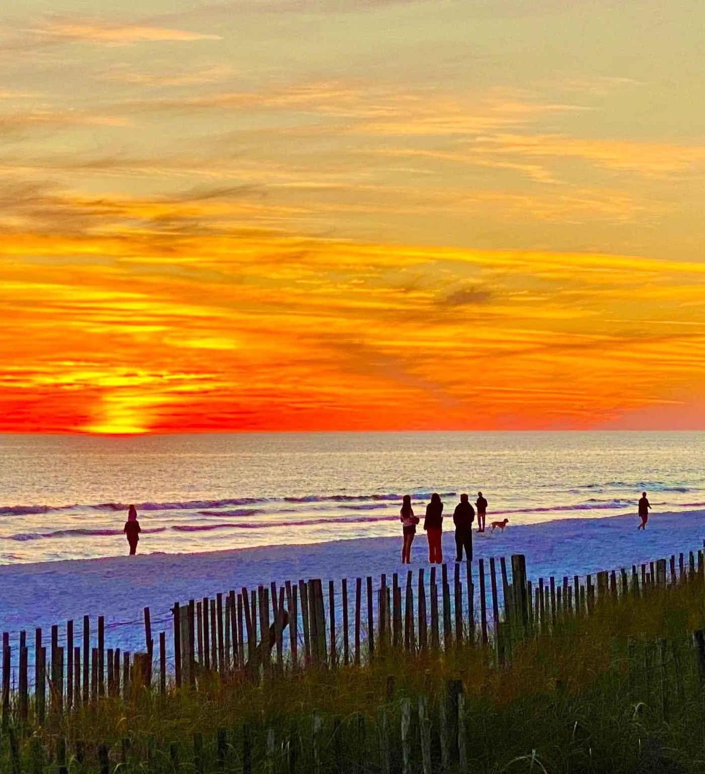 Exclusive beachfront: Gulf views, sleeps 6
