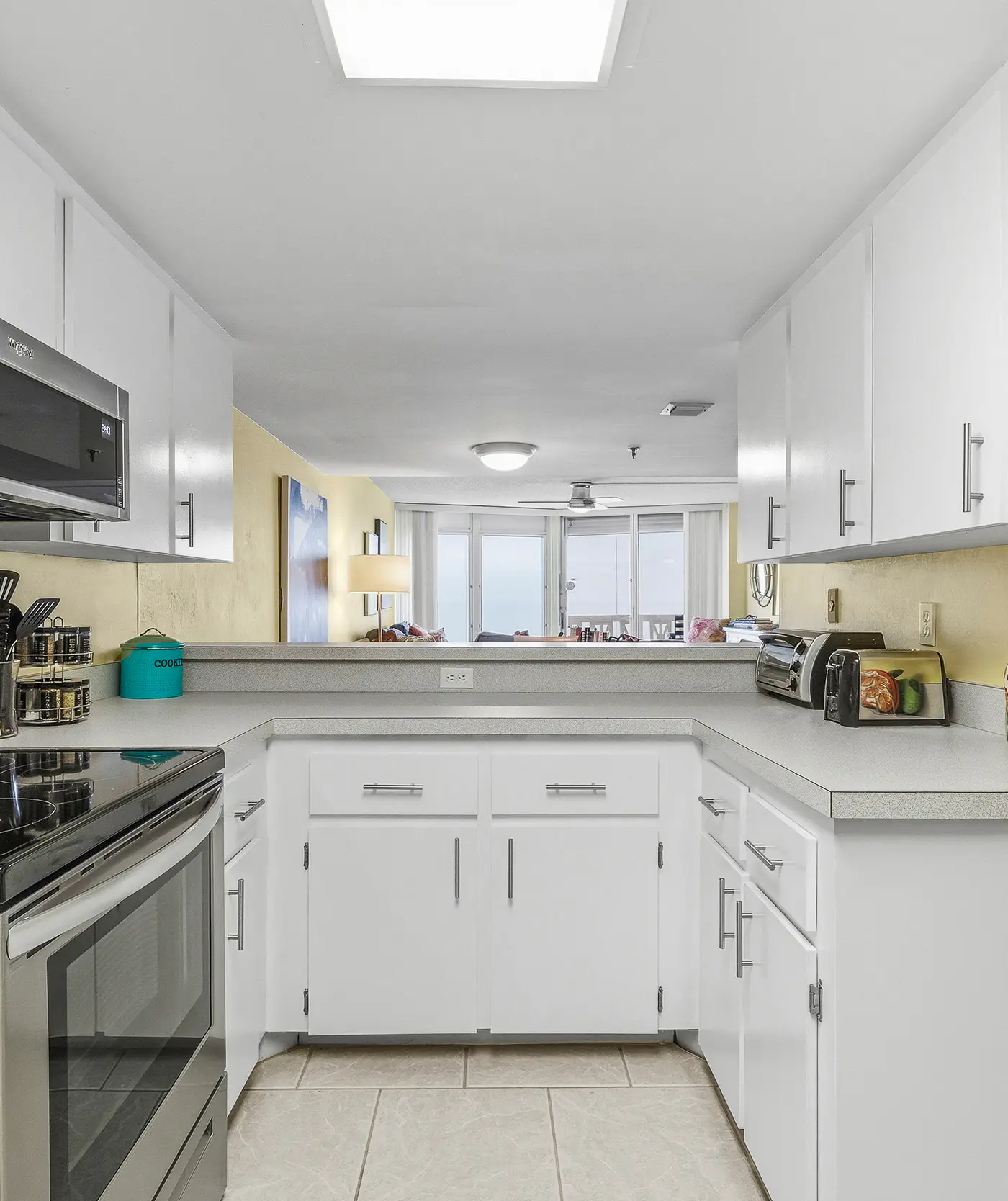 Van Lee 604 - The Sea Goose