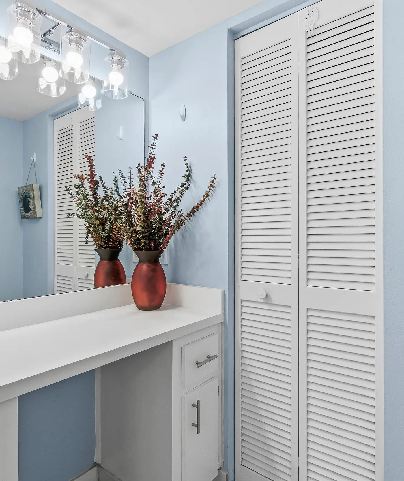 Van Lee 604 - The Sea Goose