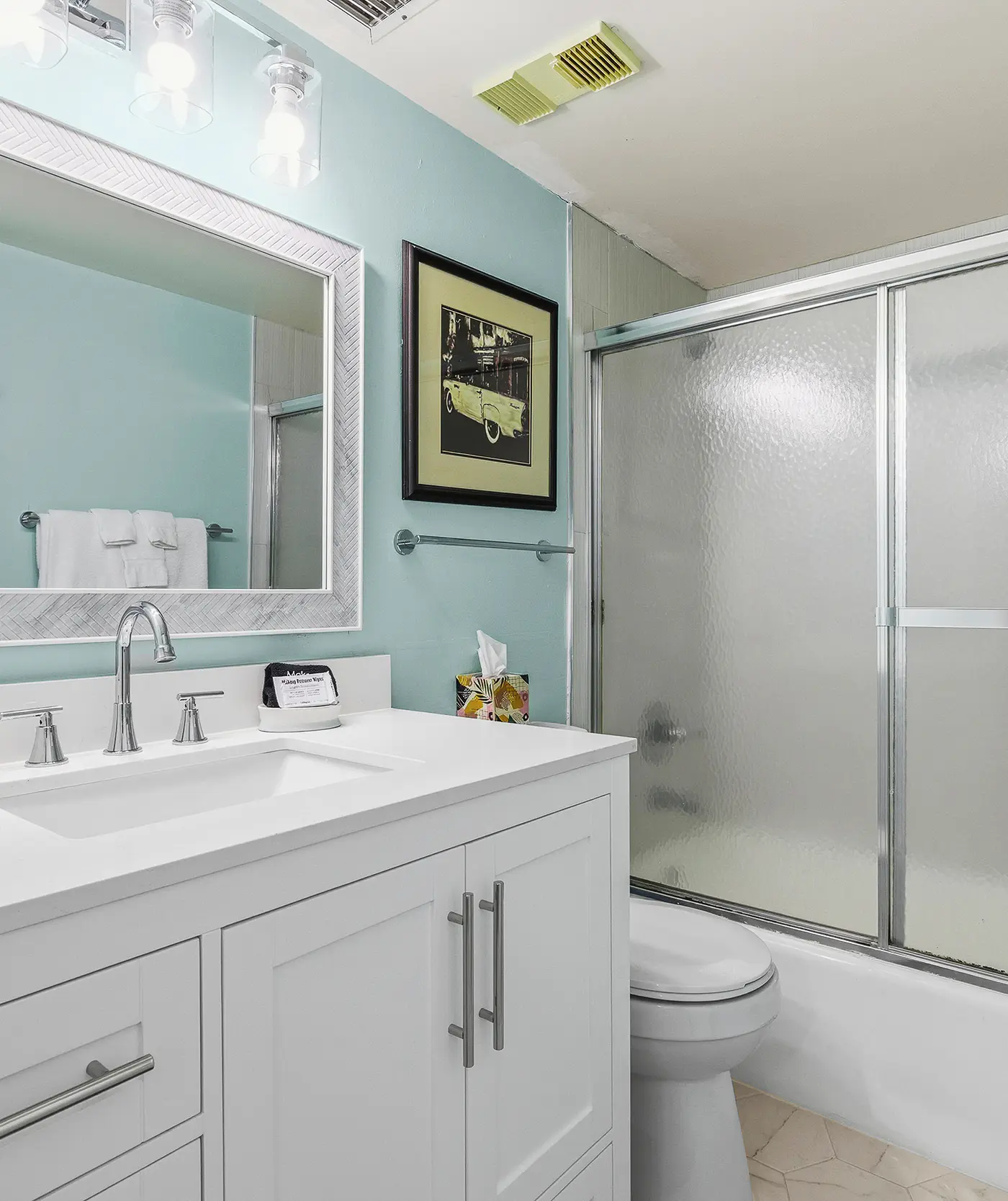 Van Lee 604 - The Sea Goose