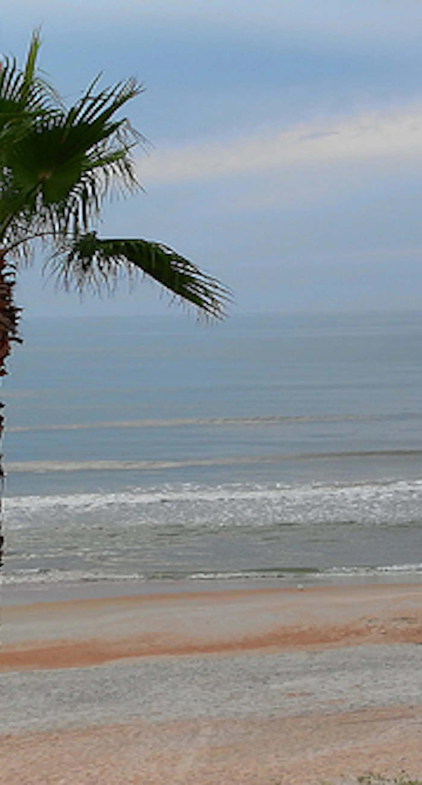 Ocean Watch 104 - Ocean Watch Oasis