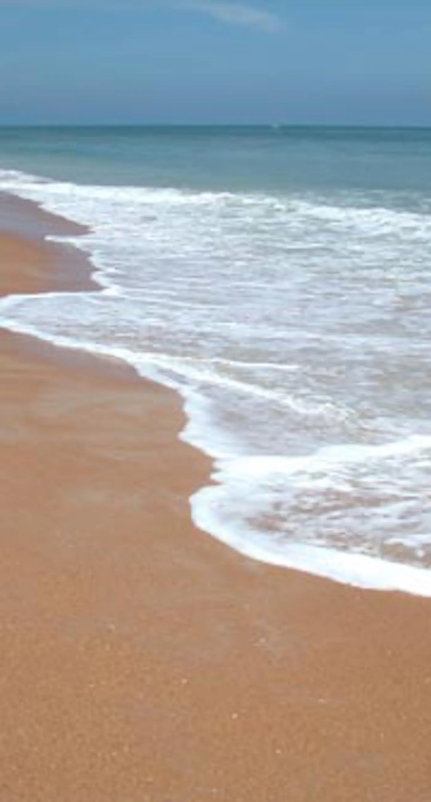 Ocean Watch 104 - Ocean Watch Oasis