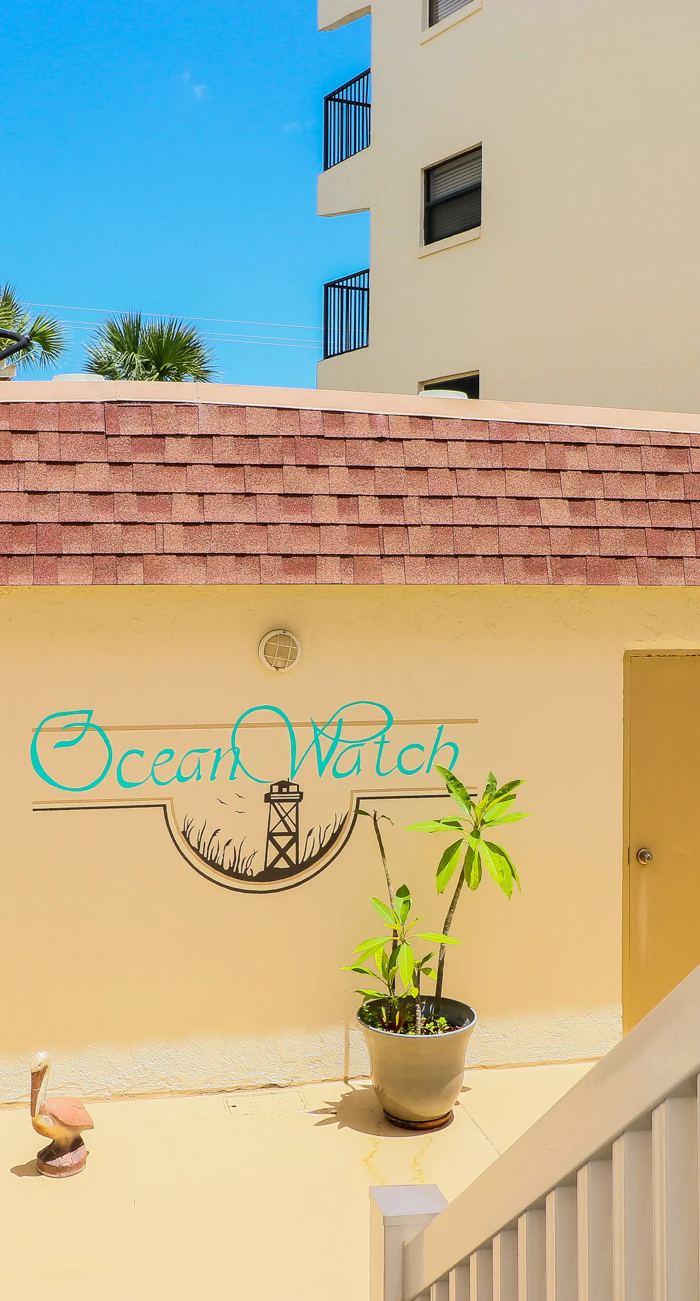 Ocean Watch 104 - Ocean Watch Oasis