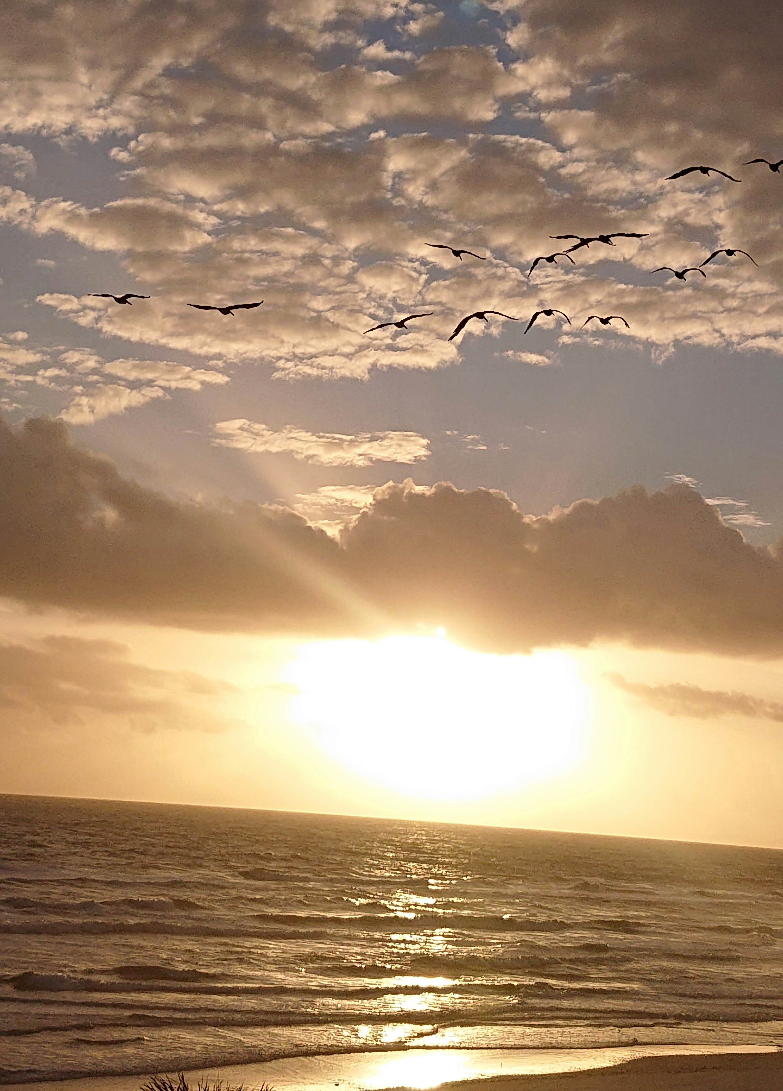 Smyrna Beach Club 307