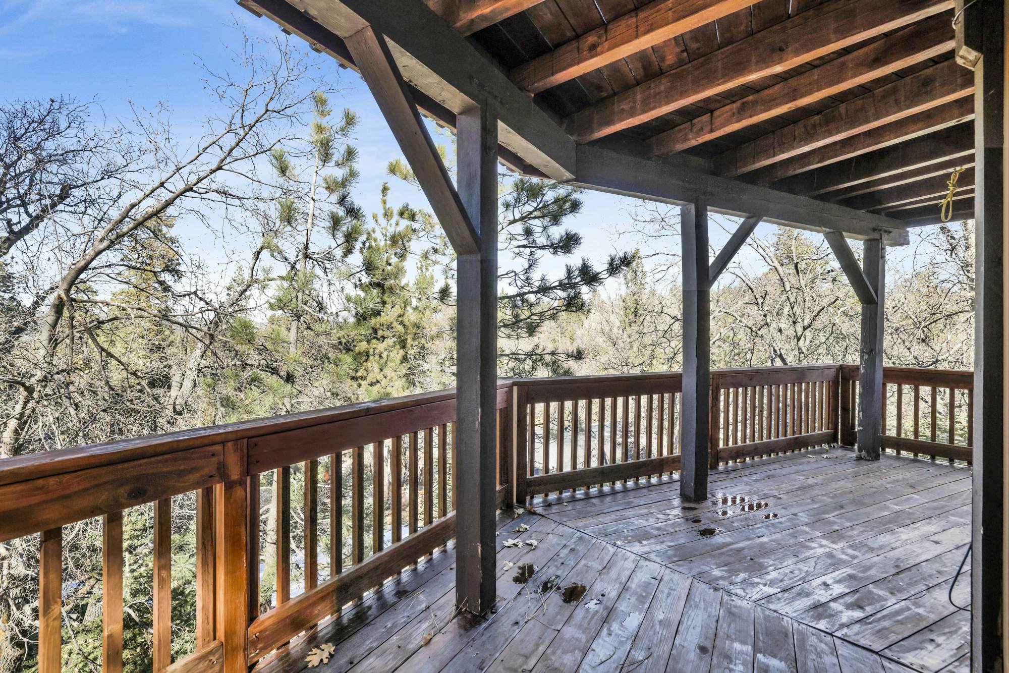 2600-The Tree Top Cabin