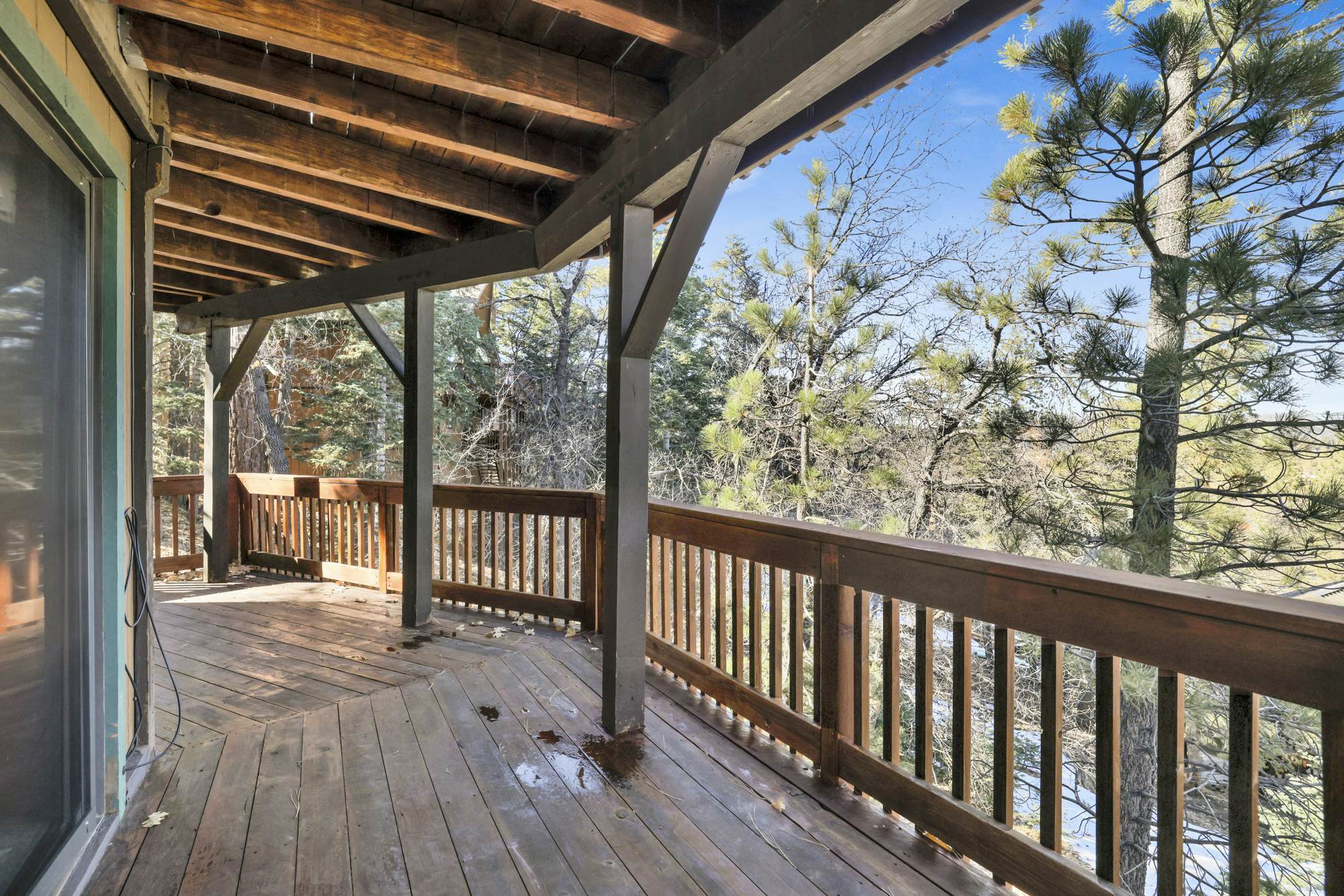 2600-The Tree Top Cabin