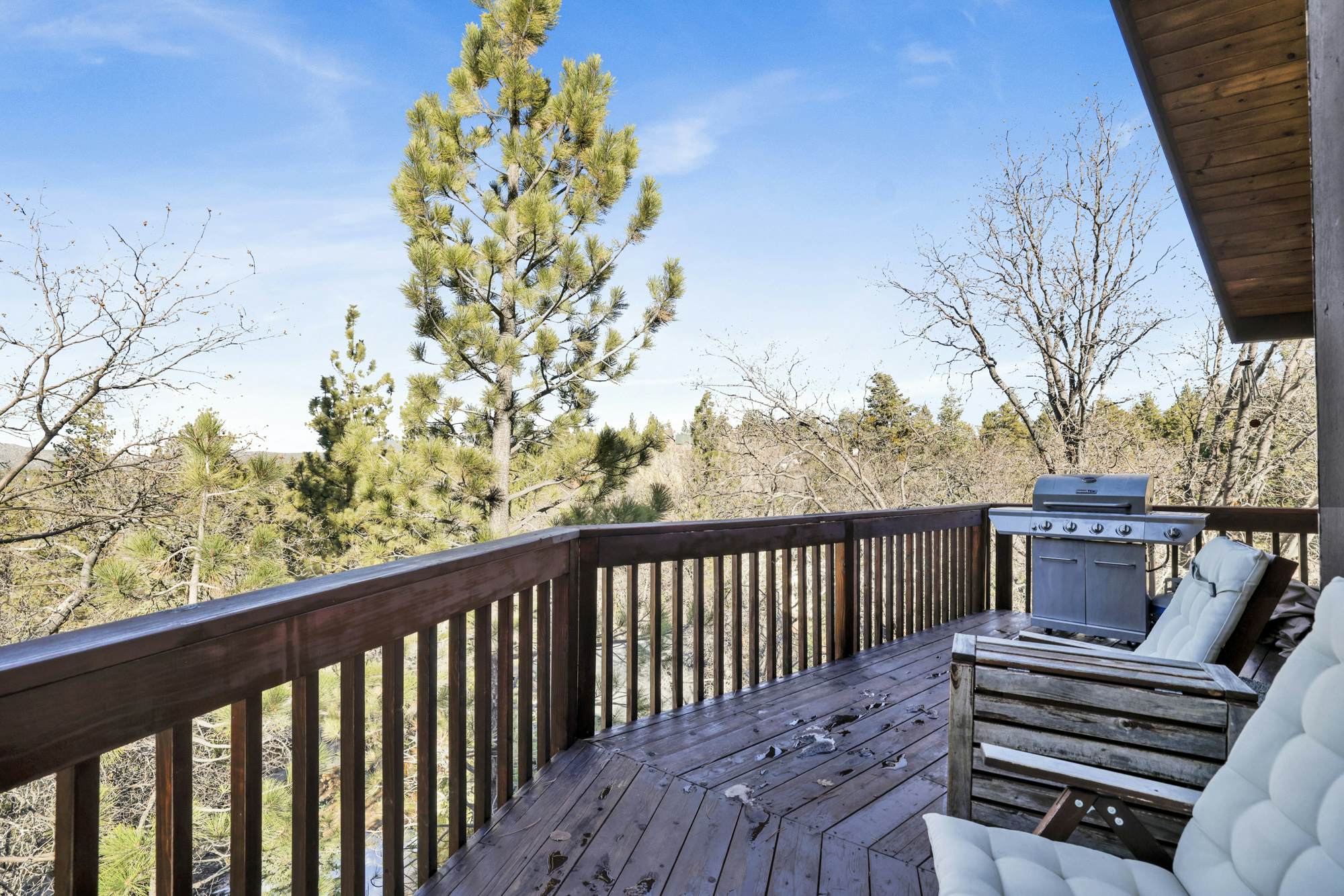 2600-The Tree Top Cabin