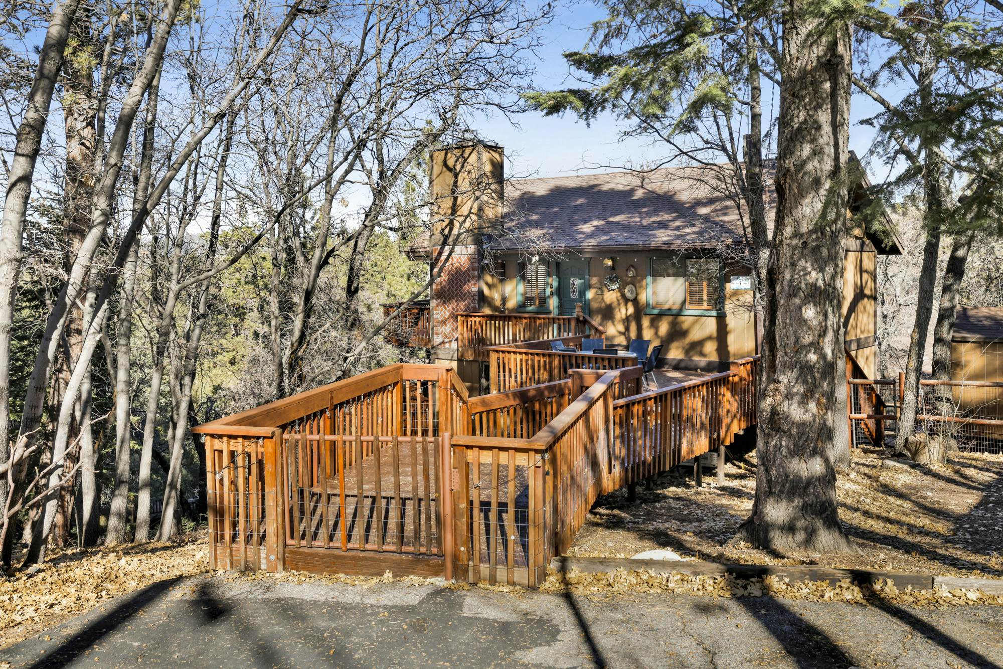 2600-The Tree Top Cabin