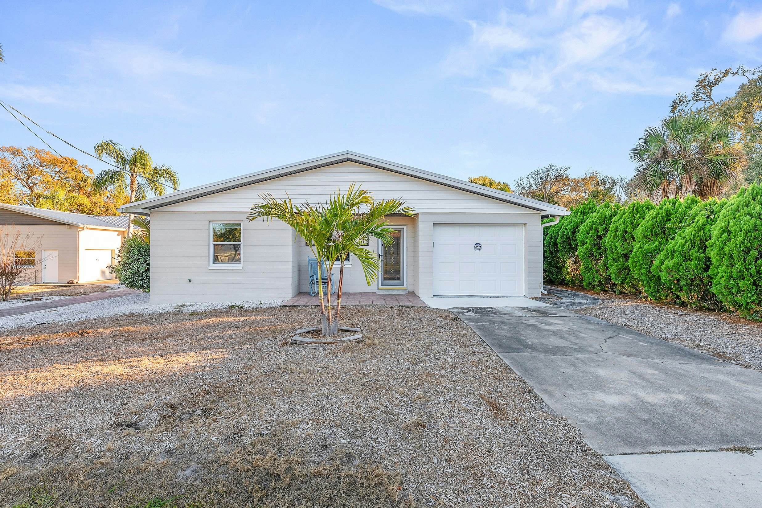 Sun and Fun - The Whole Shell