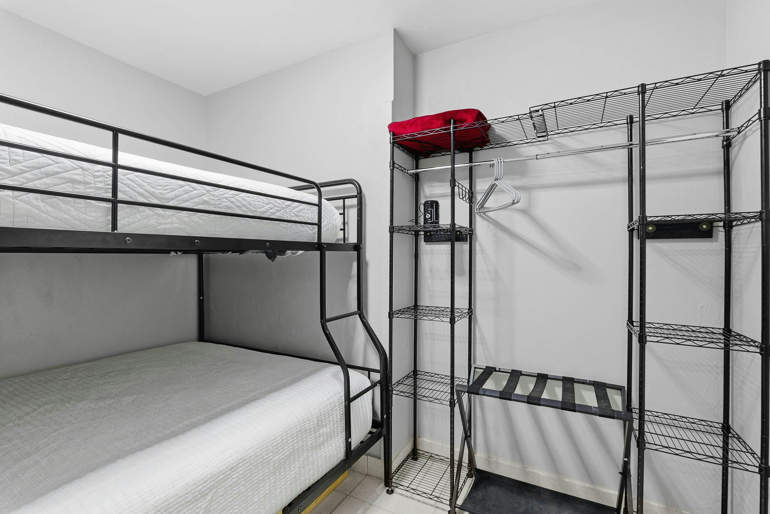 Sun and Fun- Dolphin Diversion