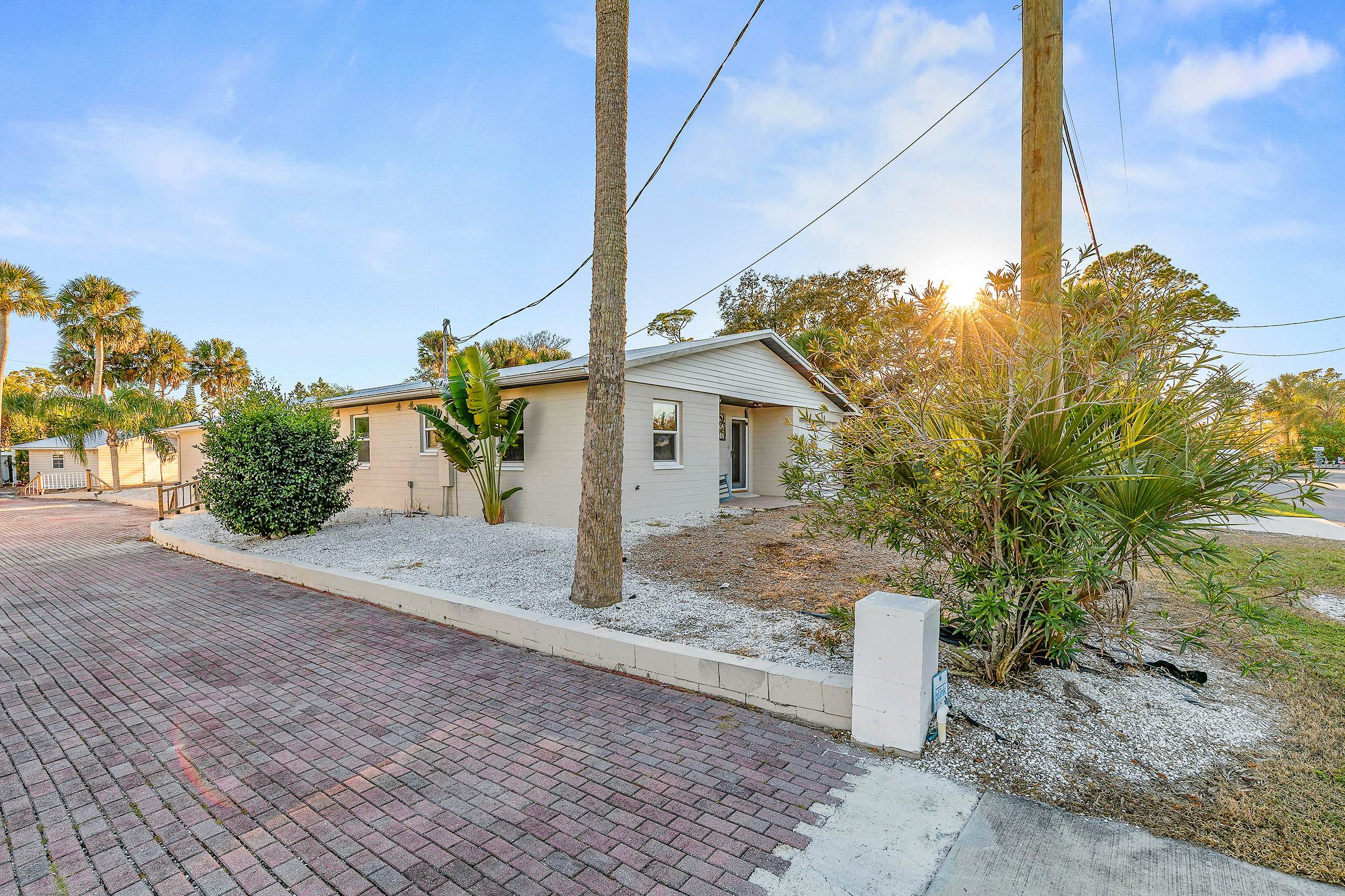 Sun and Fun- Dolphin Diversion