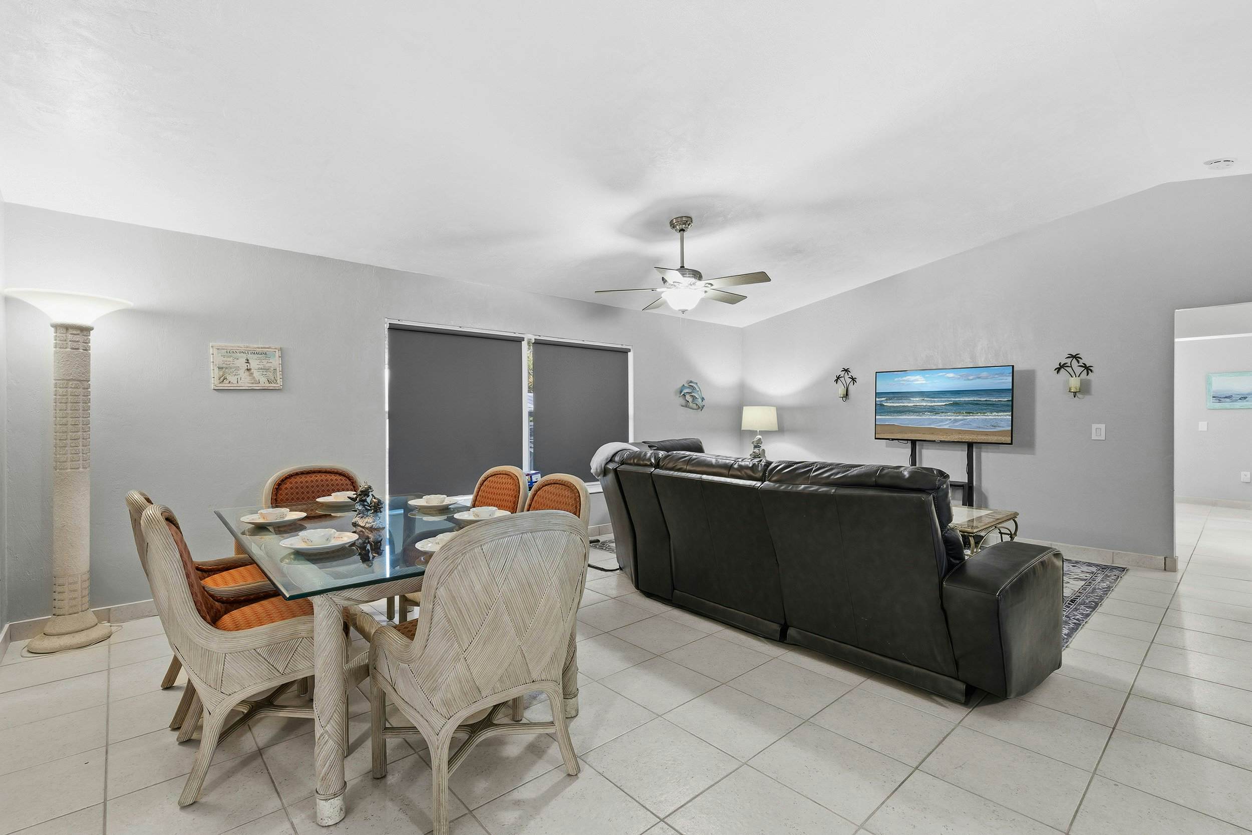 Sun and Fun- Dolphin Diversion