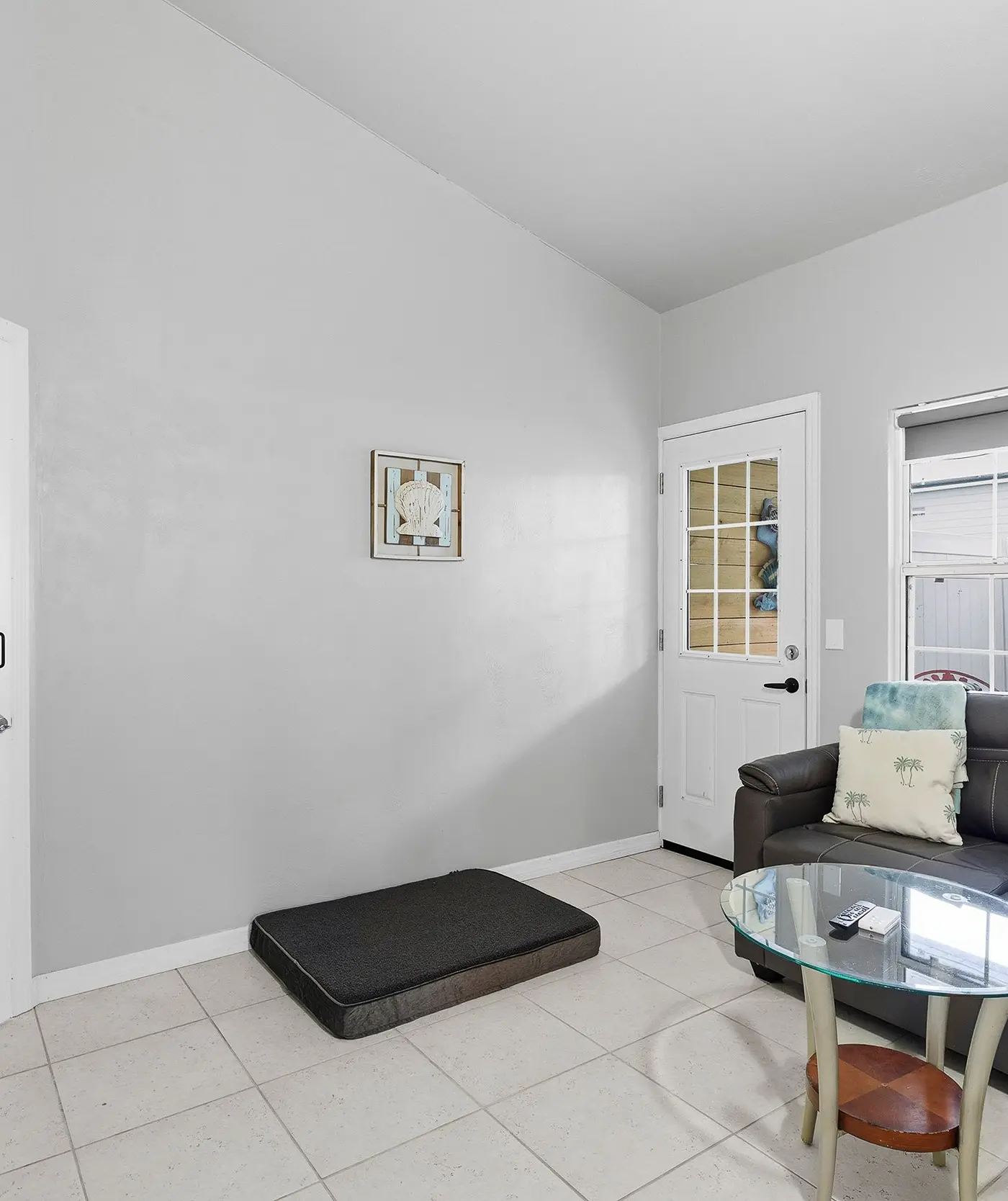 Sun and Fun- Tranquil Turtle