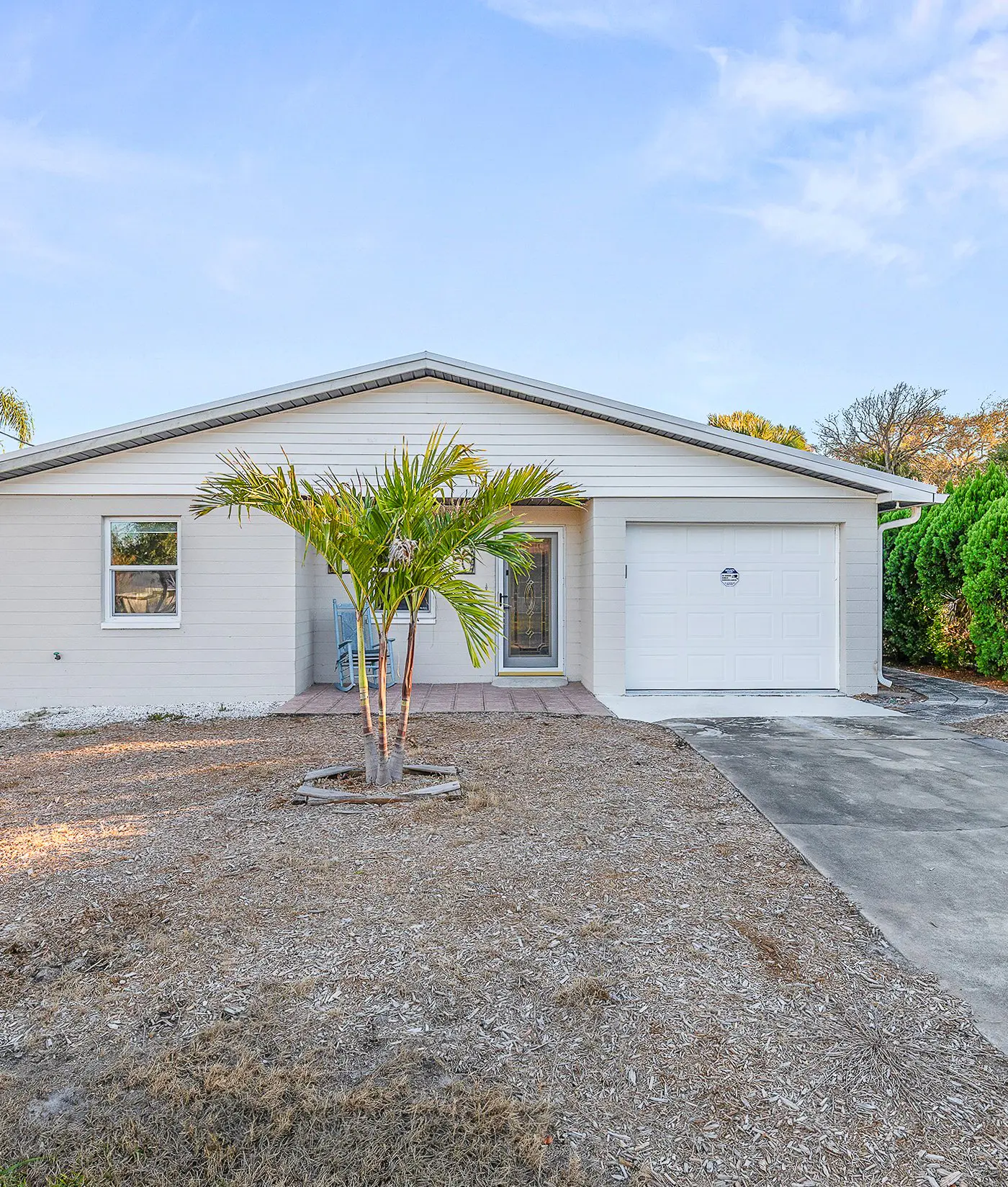 Sun and Fun- Tranquil Turtle