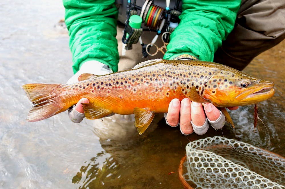 Snow Creek Condo 1553