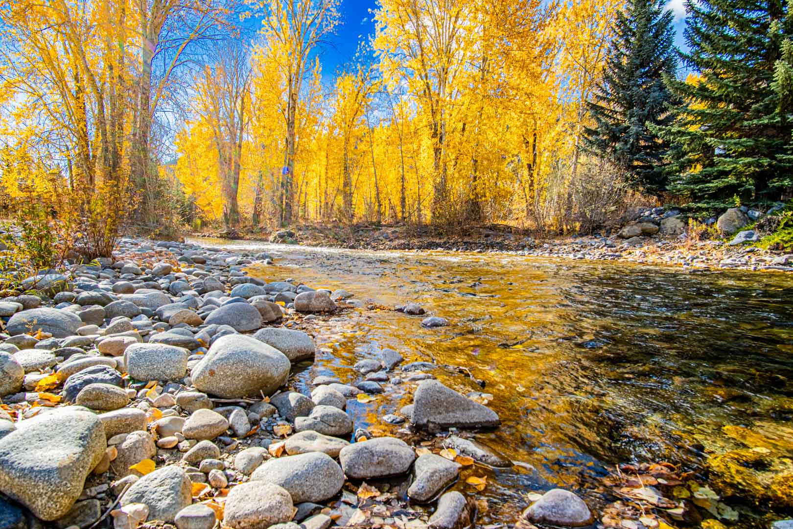 Bigwood Bliss - 3BD Riverfront Home