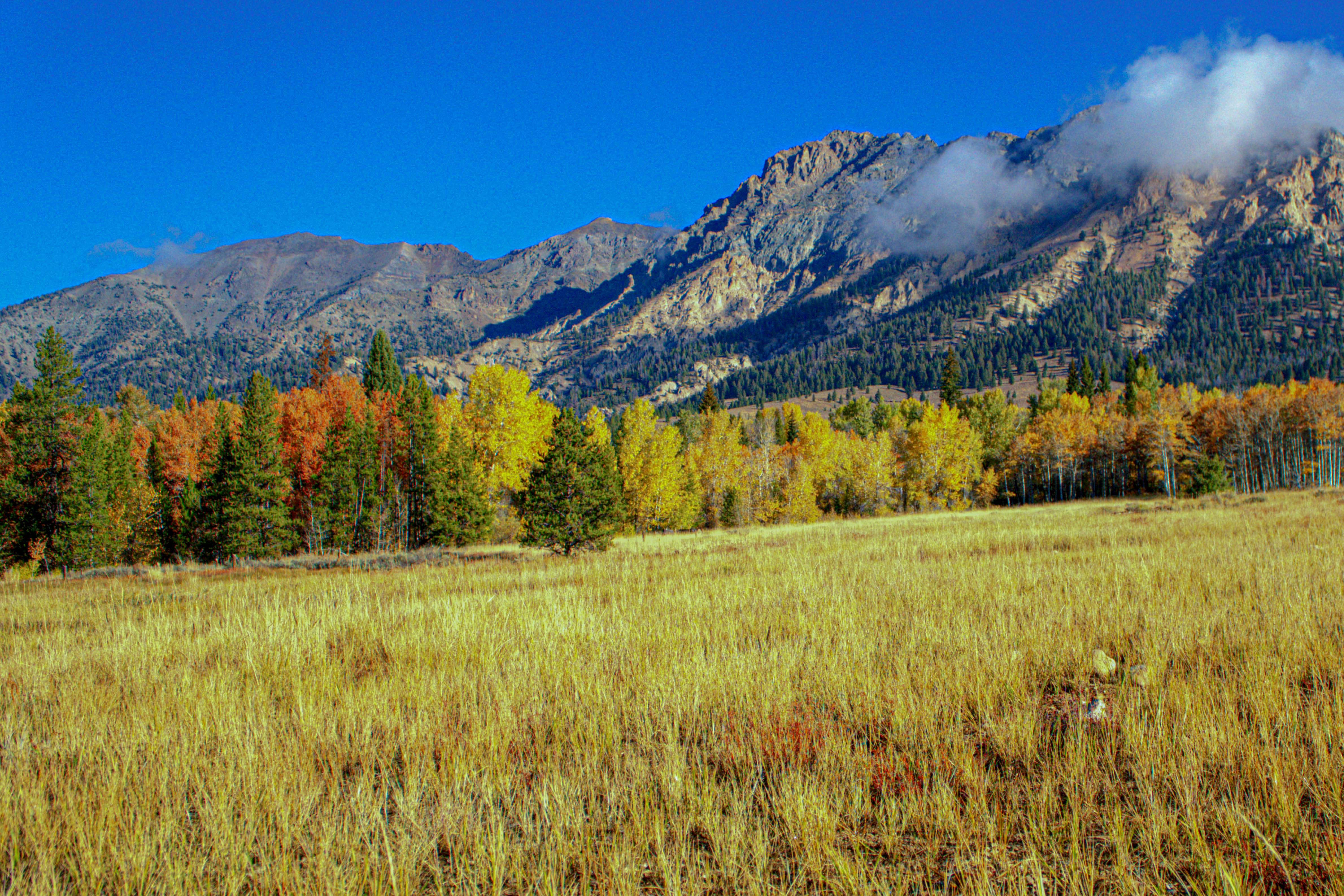 Snow Creek Condo 1554