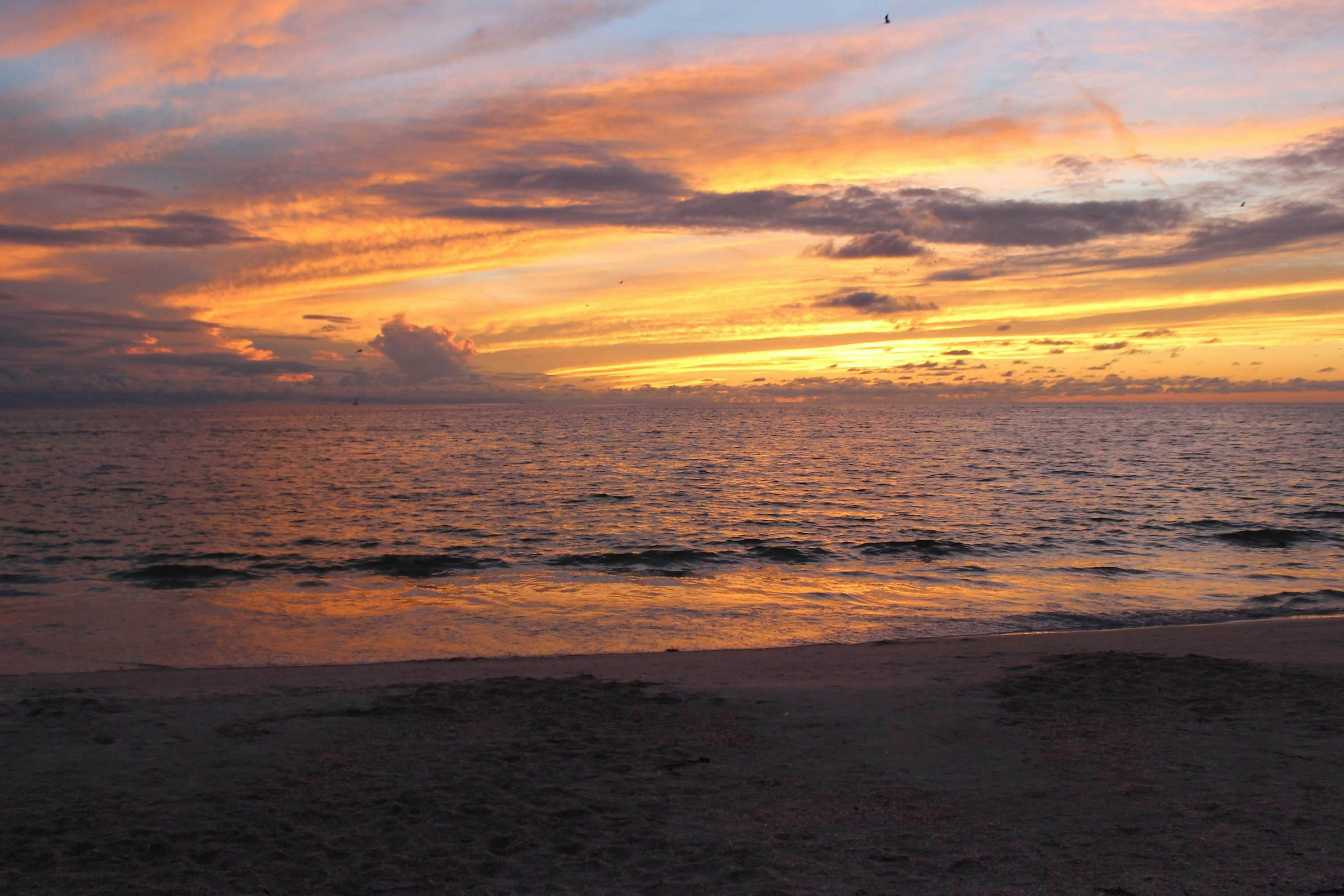 Gulf-Front Condo with Pool & Stunning Sunset Views