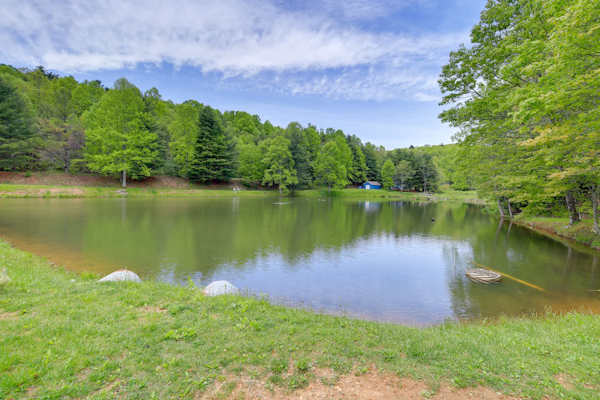 Scenic Mountain Getaway-Tranquil Views!-58 Meadowview Trail