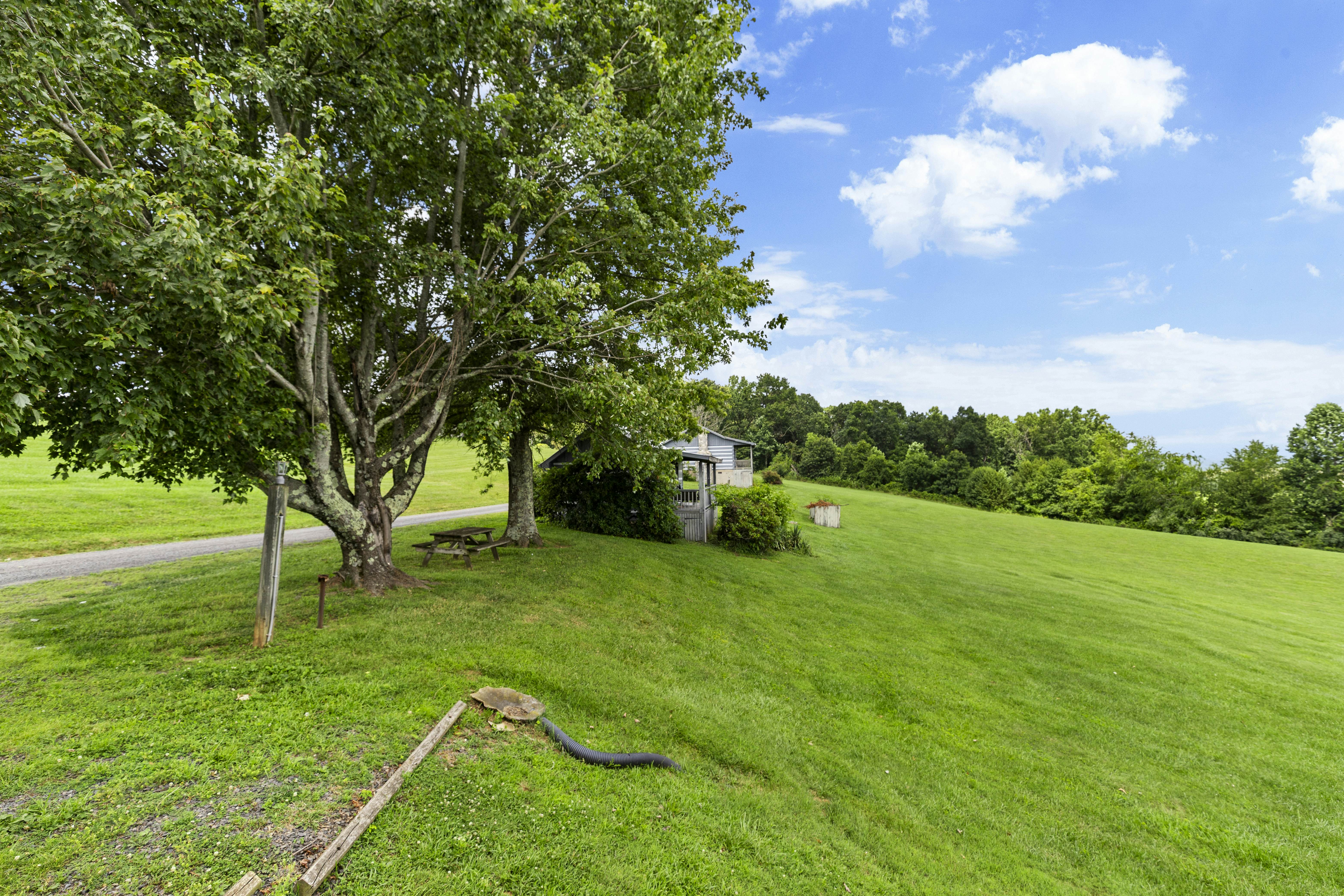 Cabin 3 - Buffalo Mountain Cabin