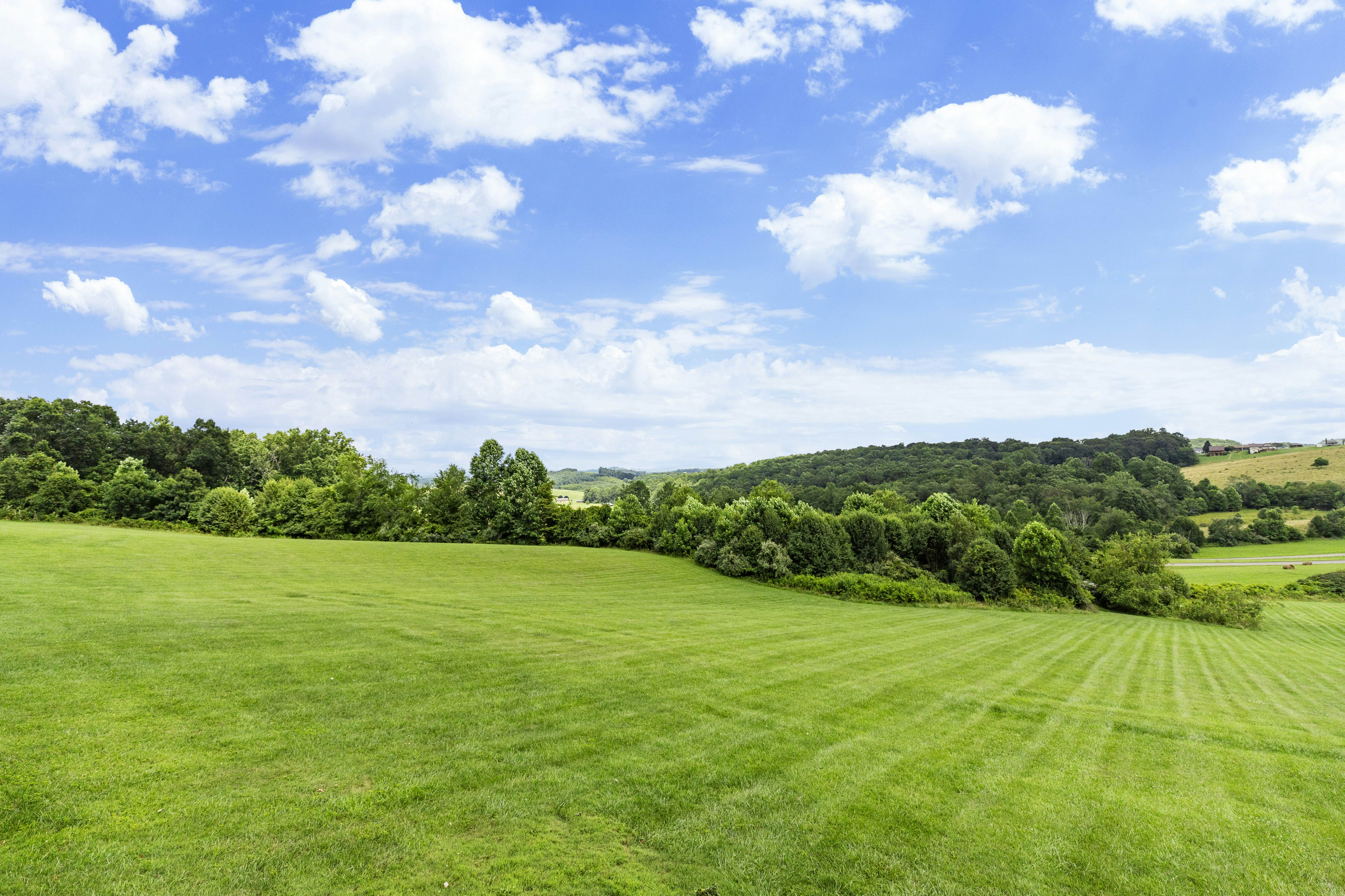 Cabin 3 - Buffalo Mountain Cabin