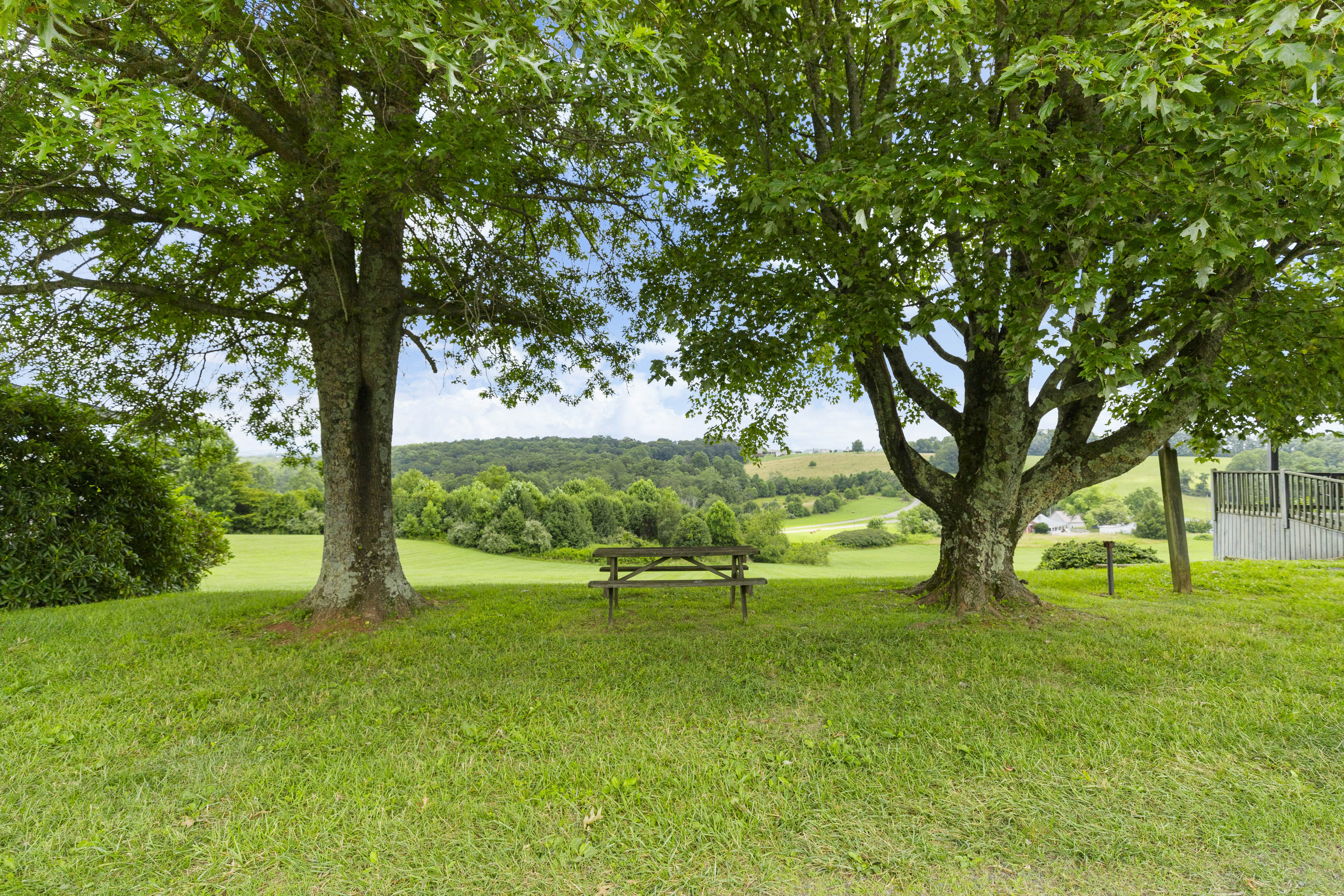 Cabin 3 - Buffalo Mountain Cabin
