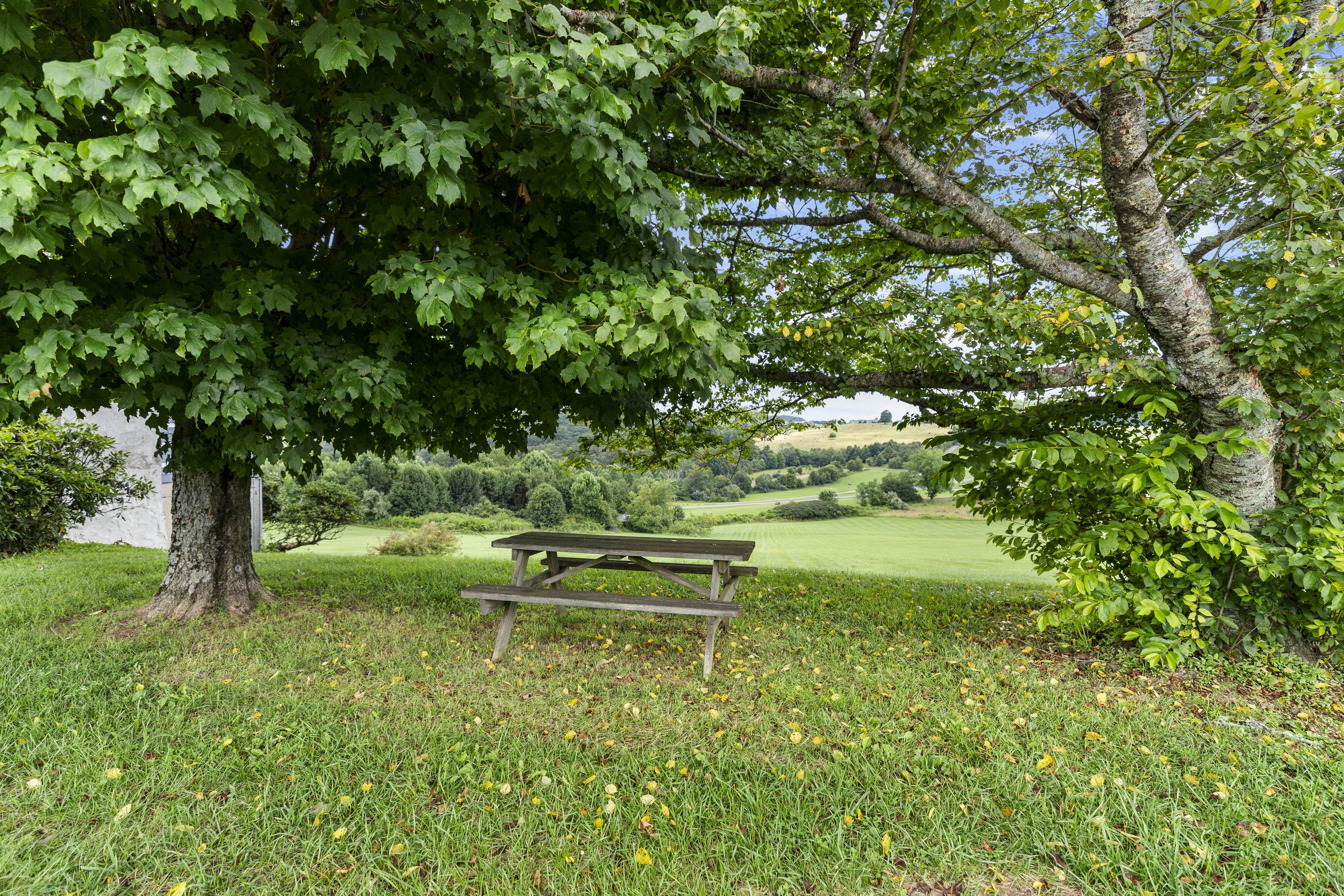 Cabin 2 - Groundhog Mountain Cabin