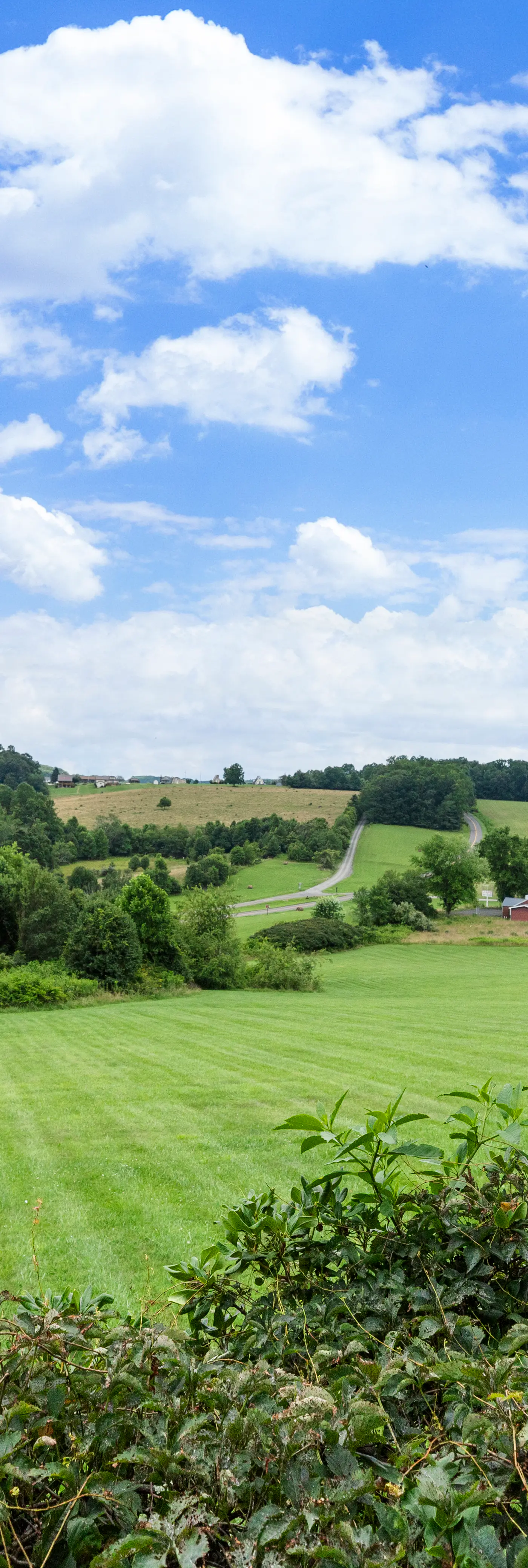 Cabin 4 - Chicken House Cabin