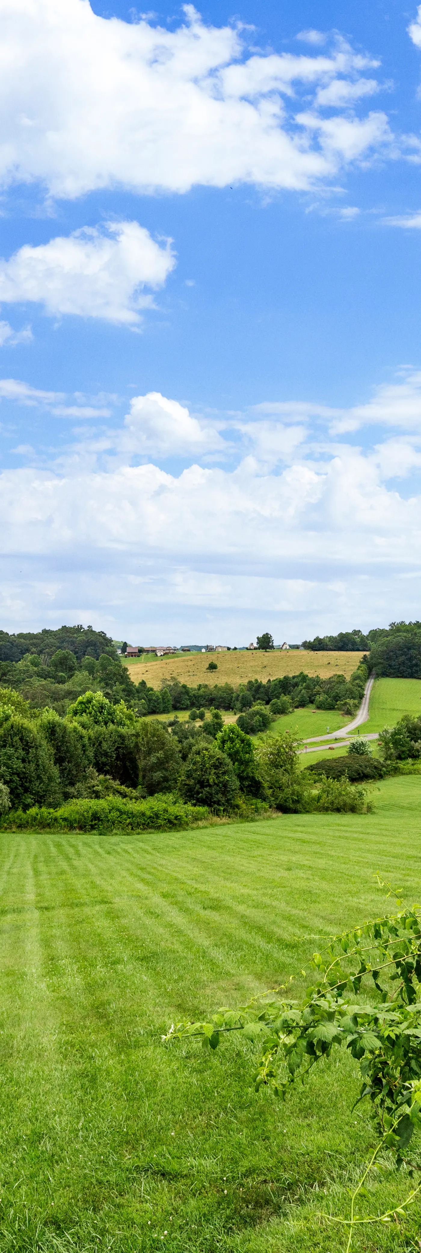 Cabin 4 - Chicken House Cabin
