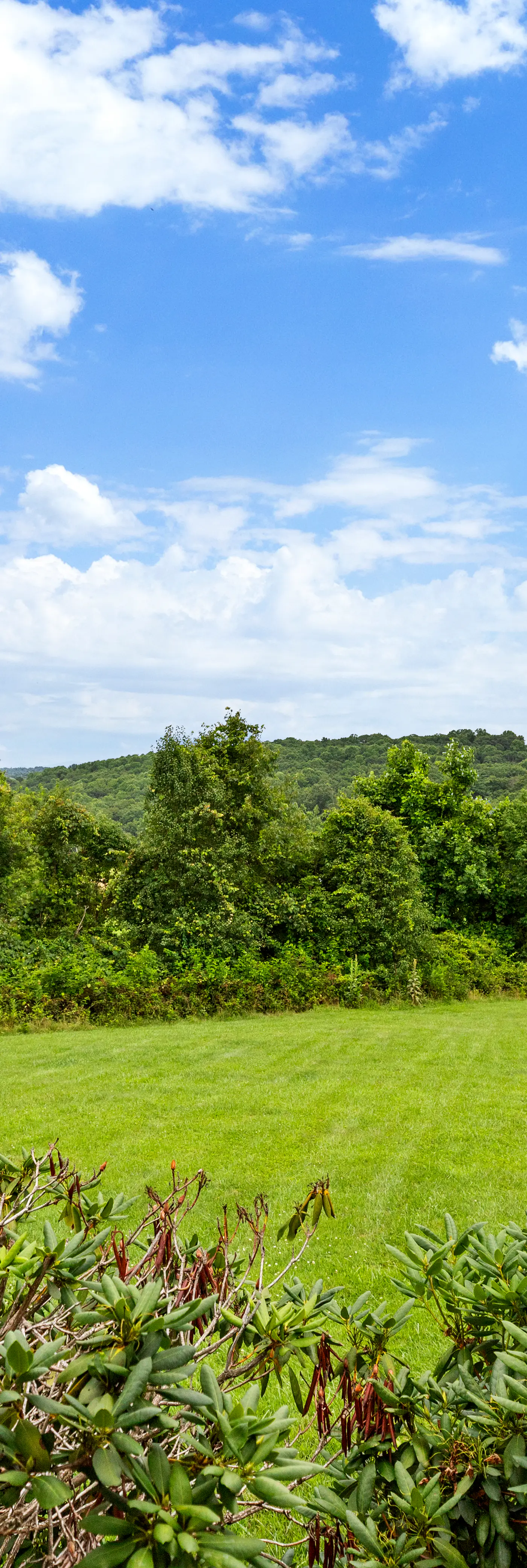 Rocky Knob Cabin