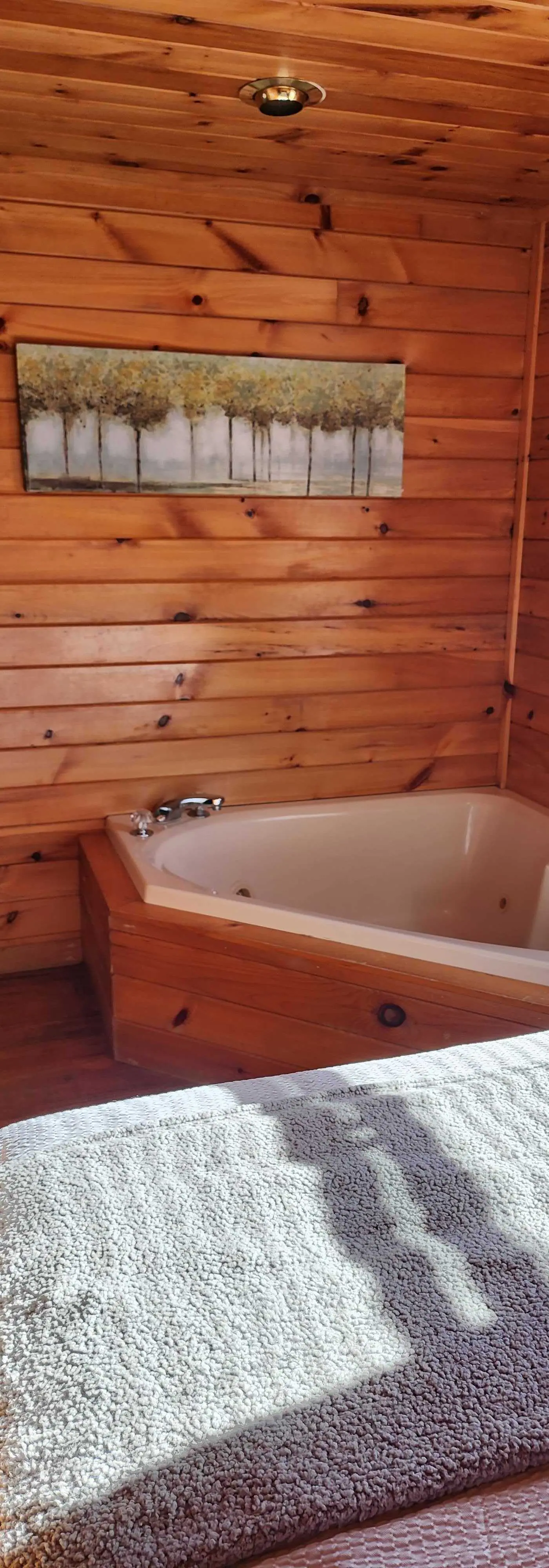 Rocky Knob Cabin