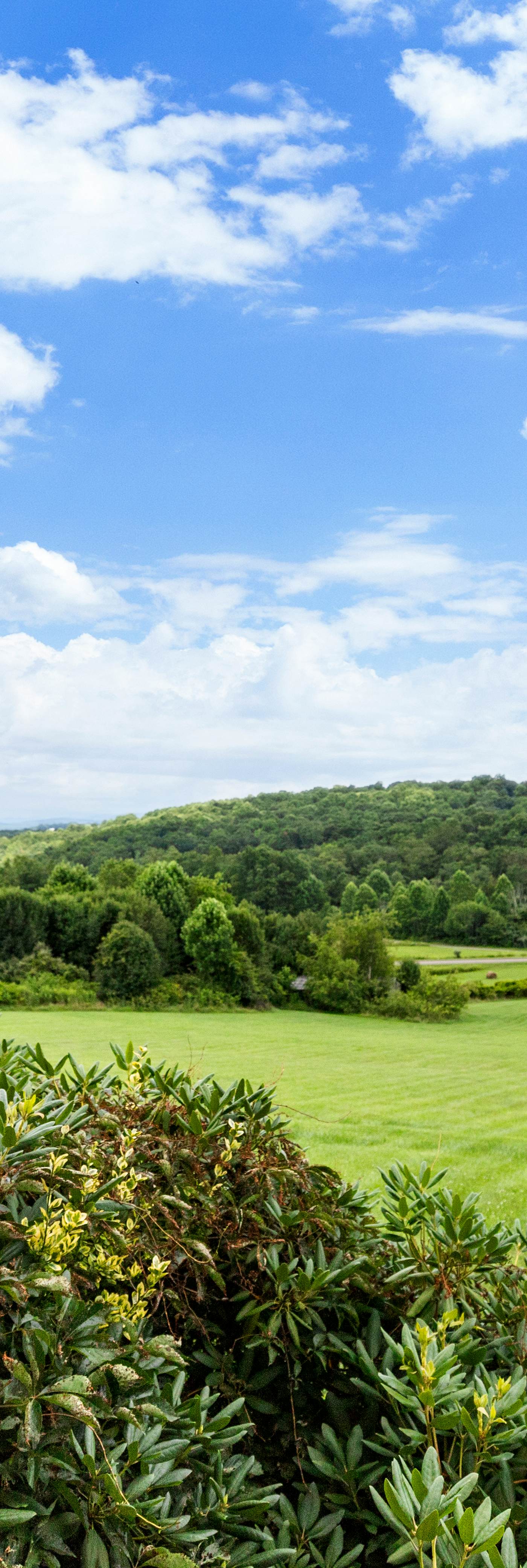 Lonesome Pine Cabins